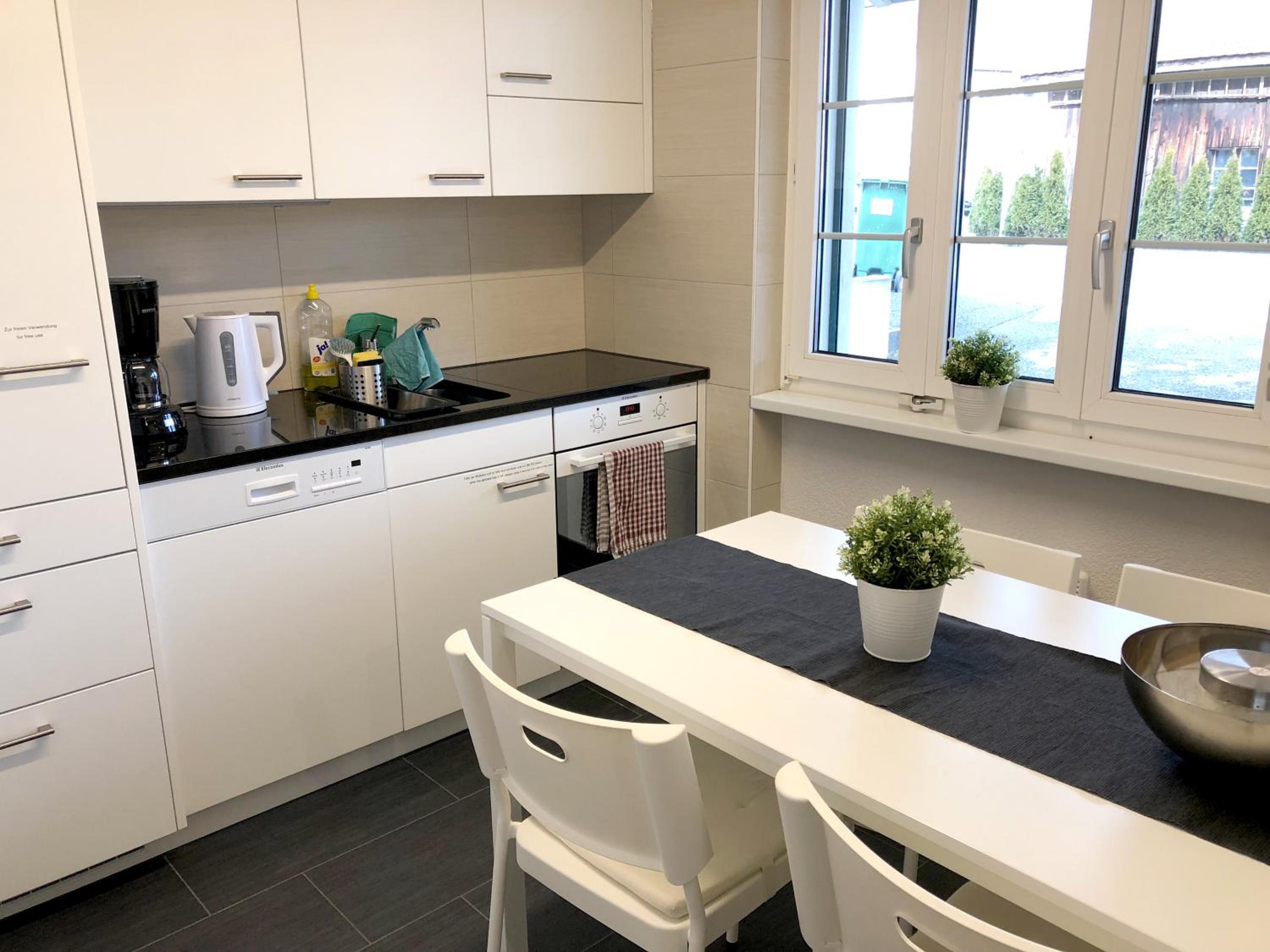Ferienwohnung Erlinsbach SO view 5