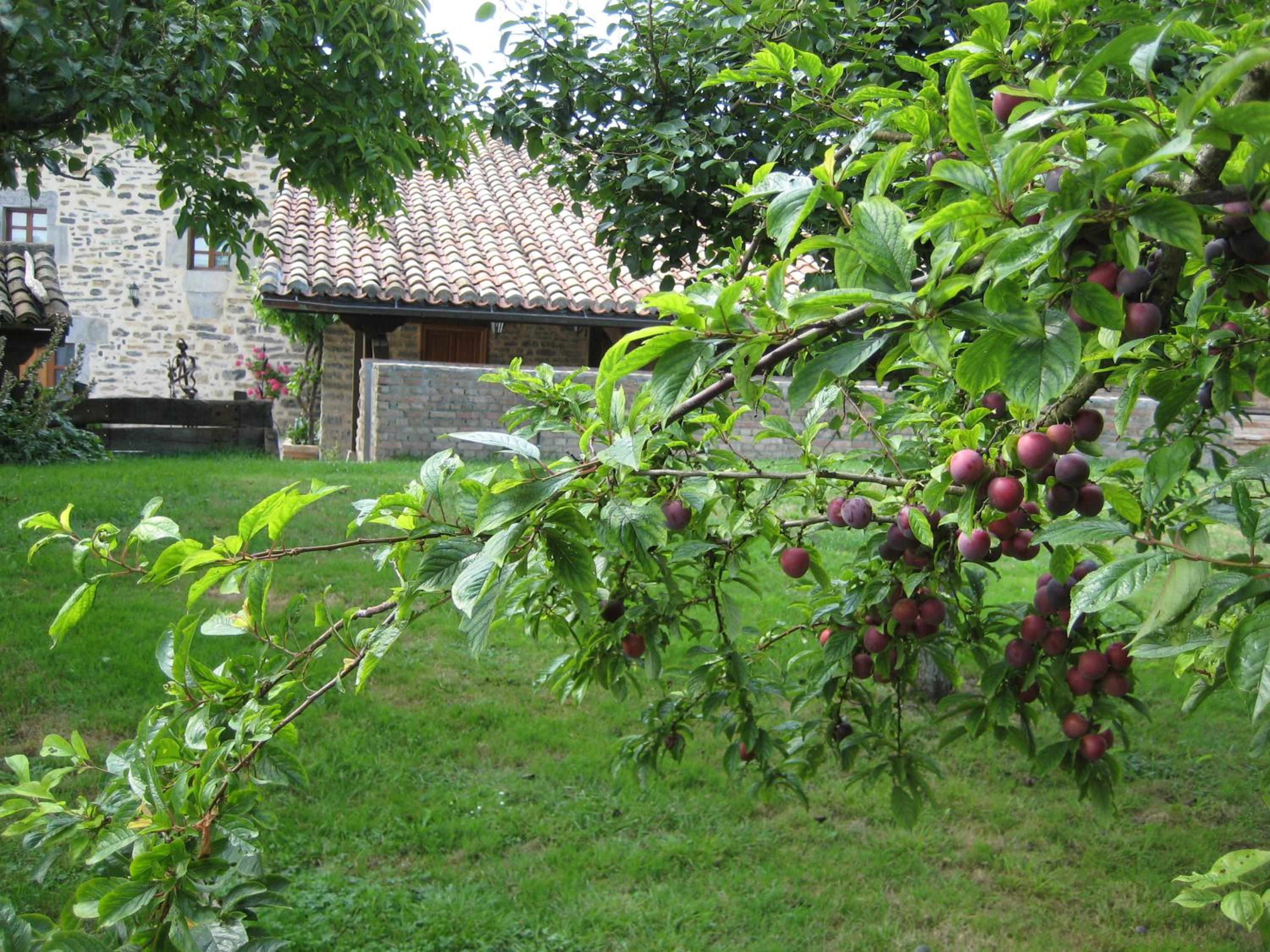 Photo 46