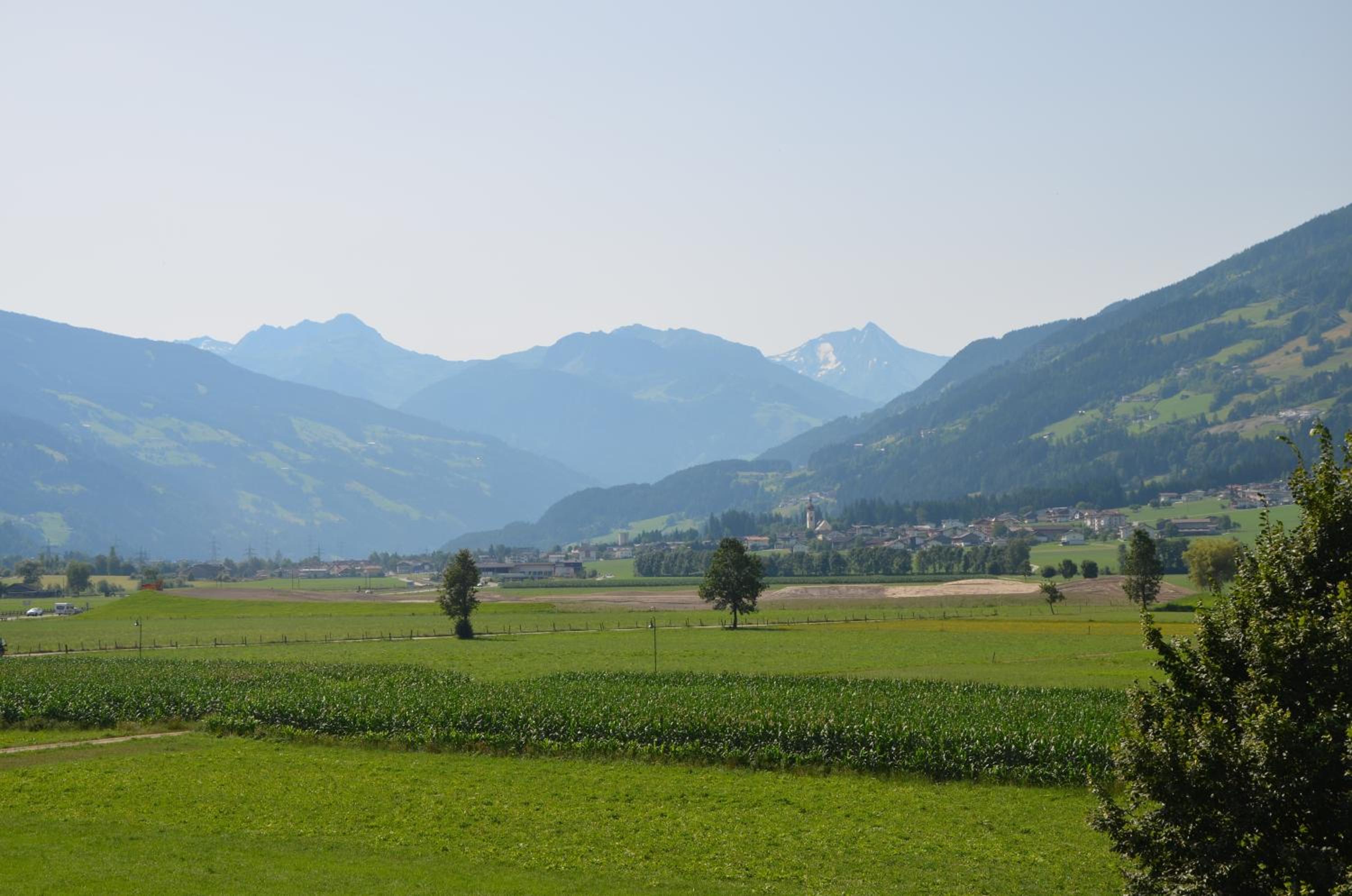 Photo 39