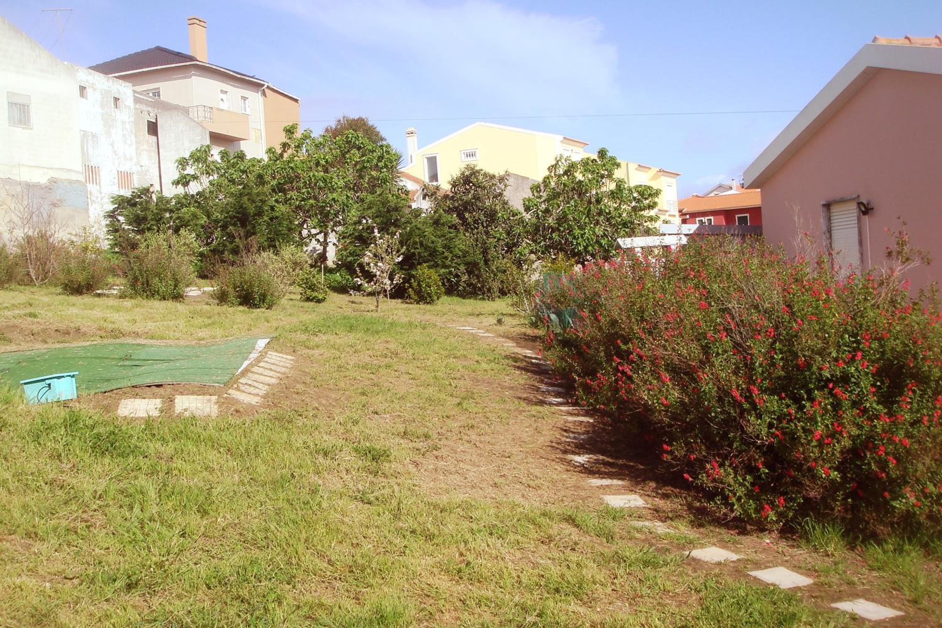Campo de Oleandros view 5
