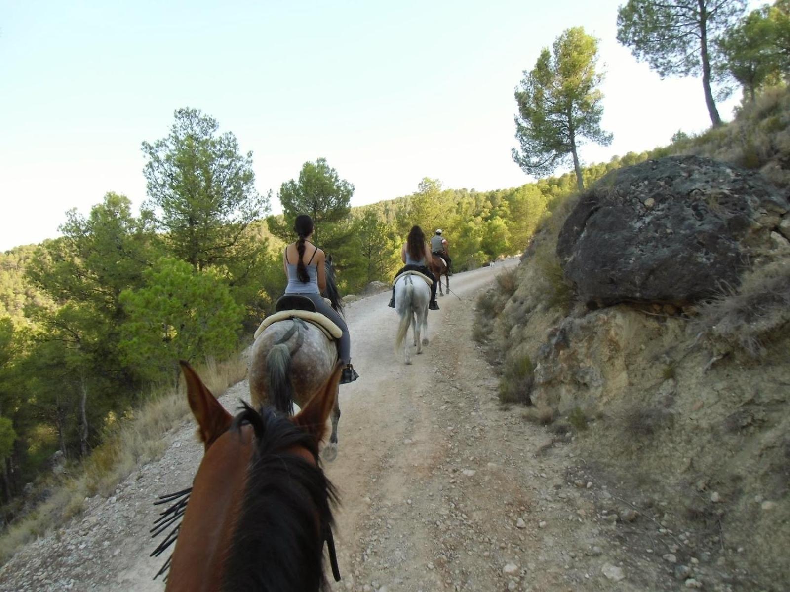 Serengueti view 4
