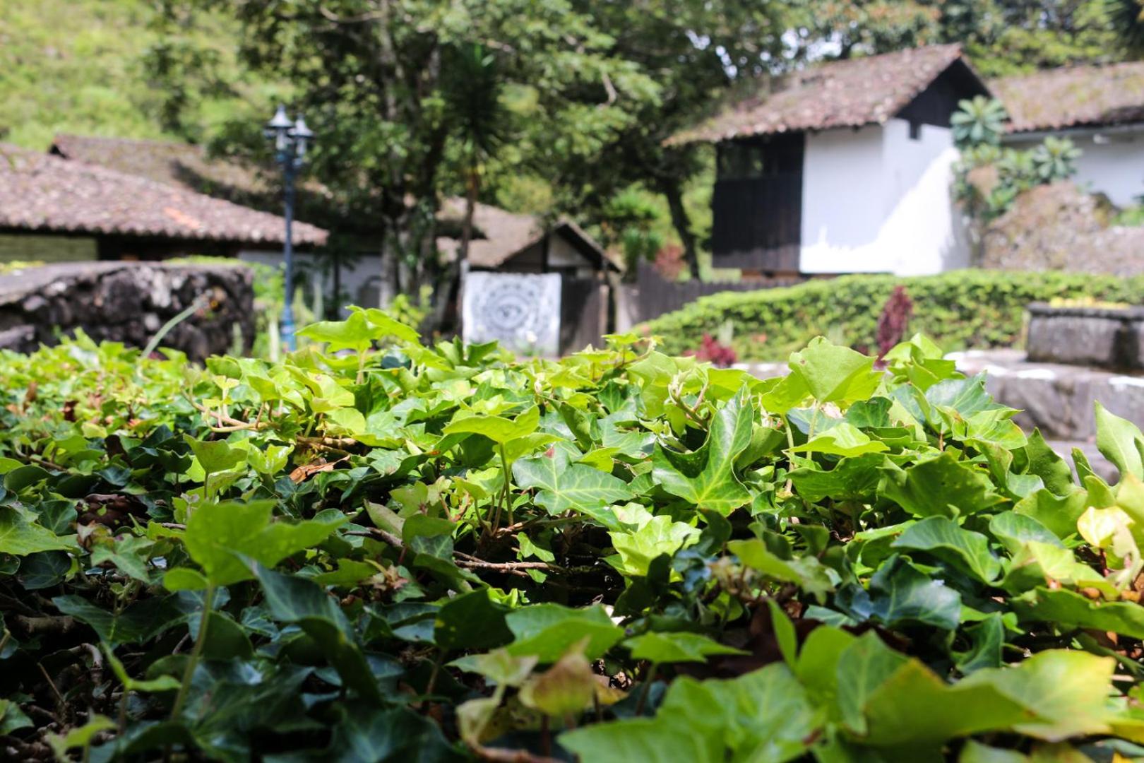 Hostería EL Trapiche Lodge & Spa