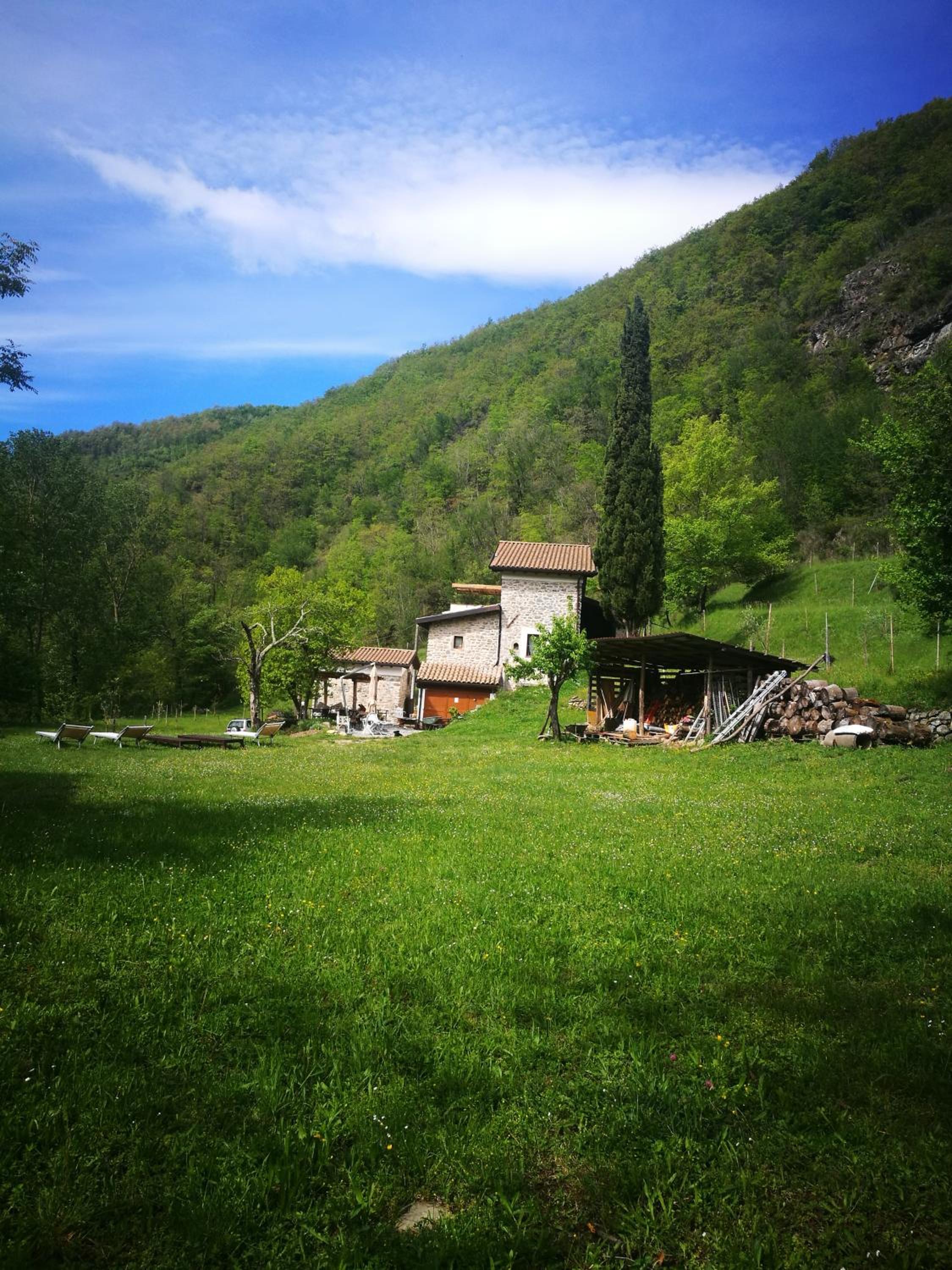 Photo 44