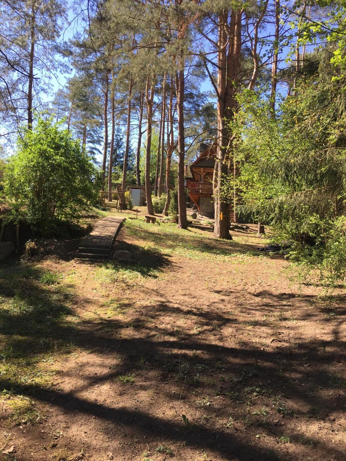 Photo 22