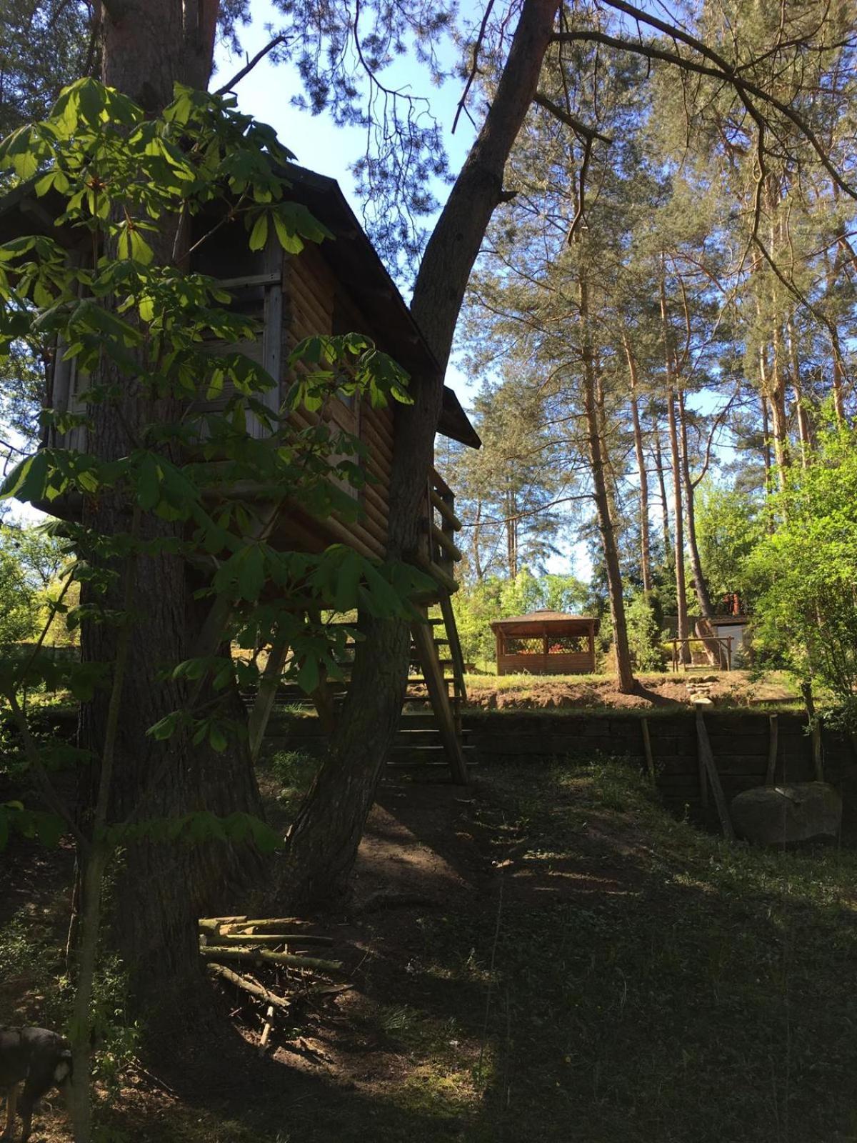 Photo 26