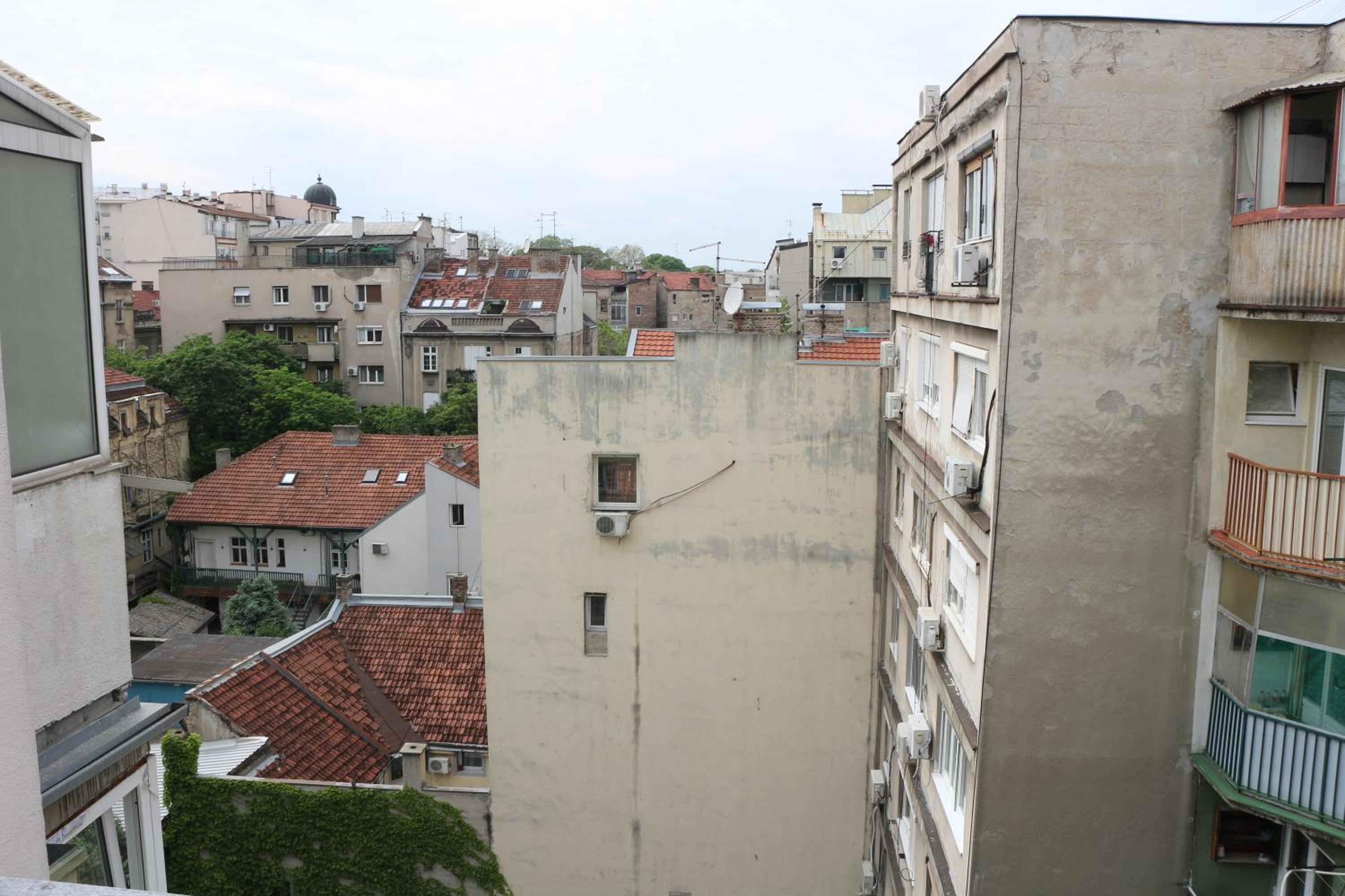 Photo 50