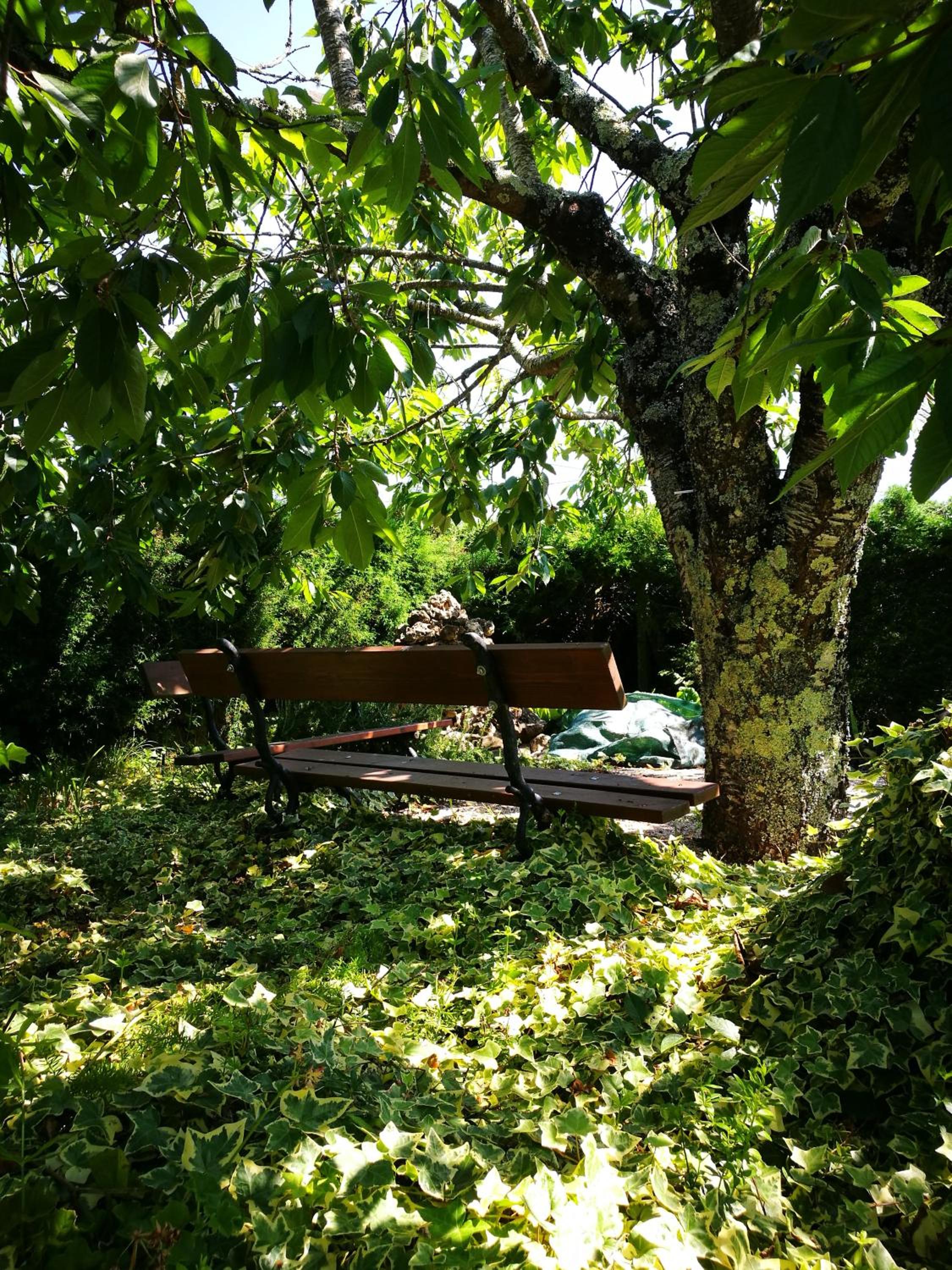 Photo 23