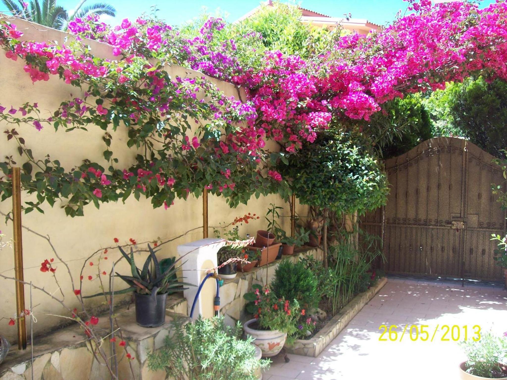 Photo 42