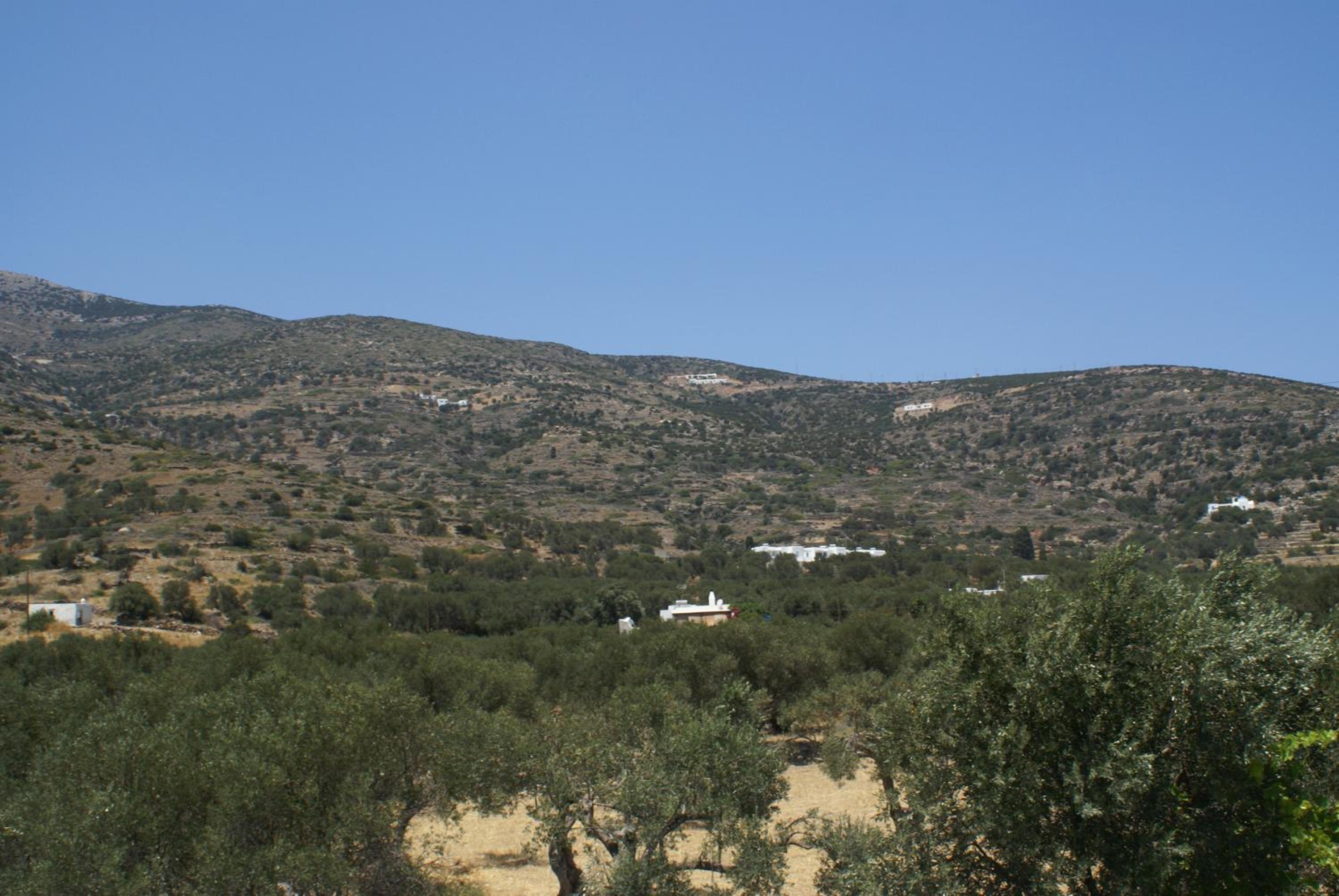 Photo 33