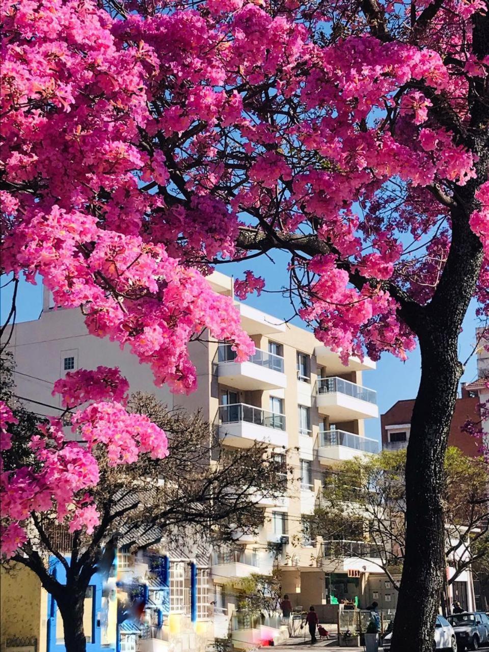 Hotel Deluxe Reyes Catolicos