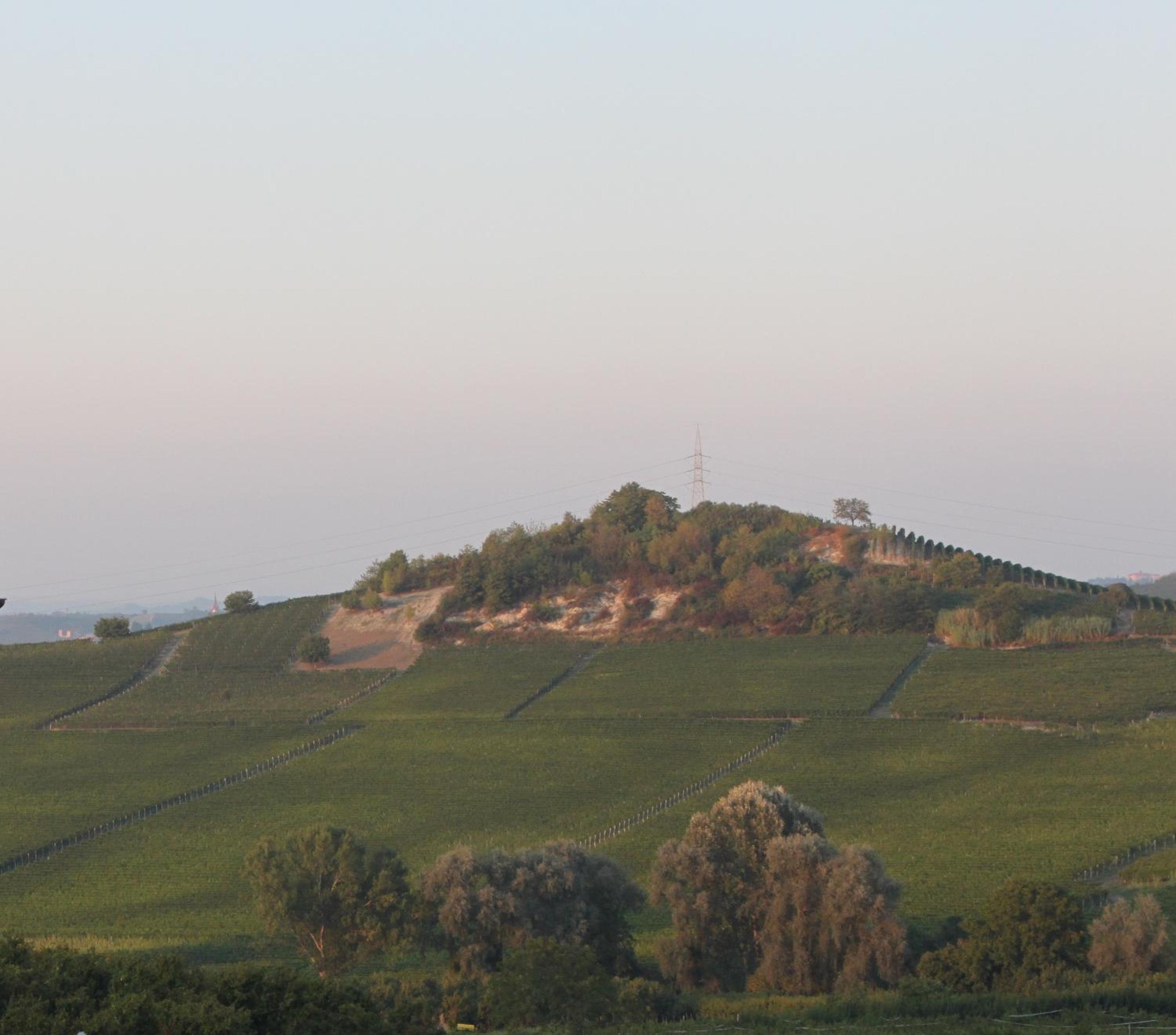 Villa Vecchio