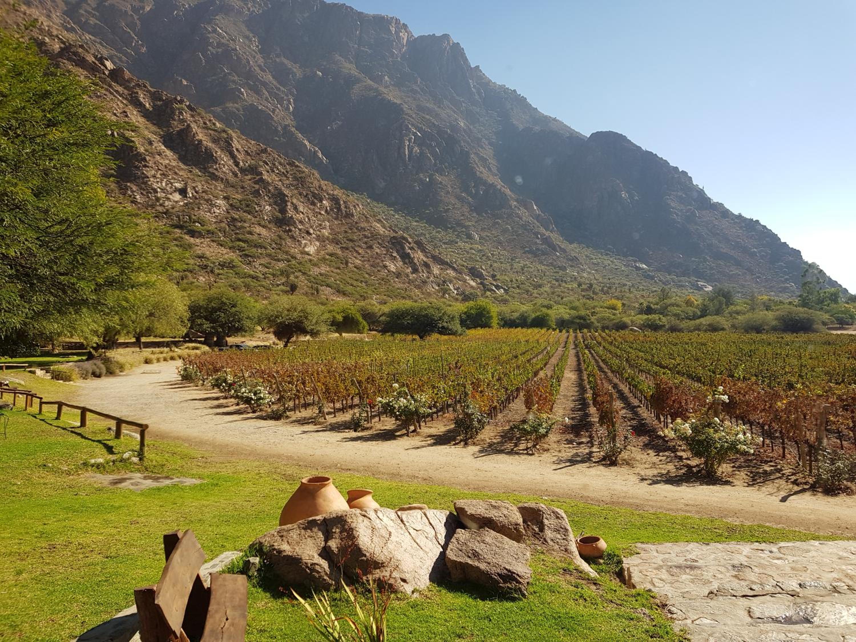 BELLA VISTA - CAFAYATE