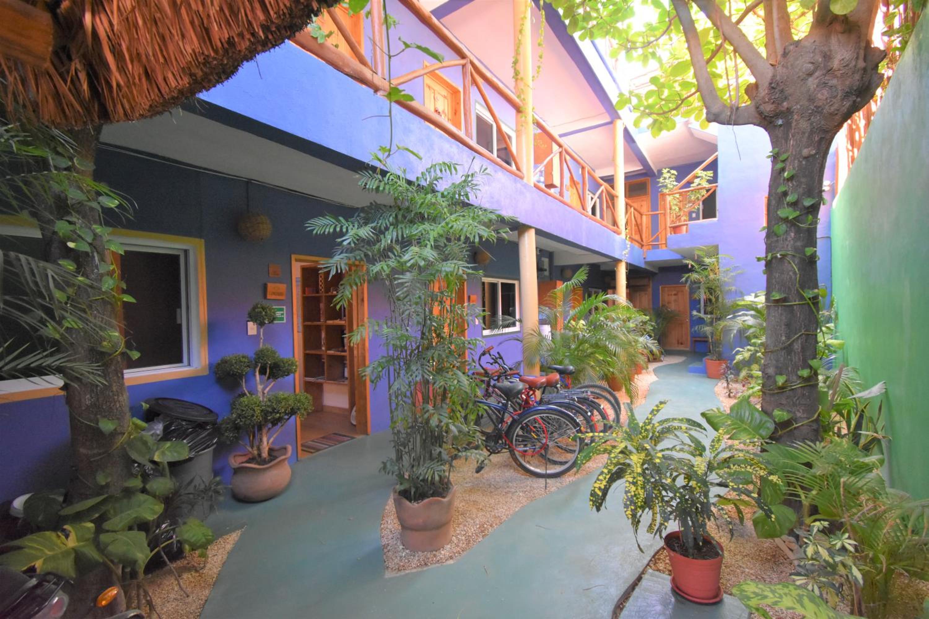 Photo 46 sur 56 de Casa Almendro