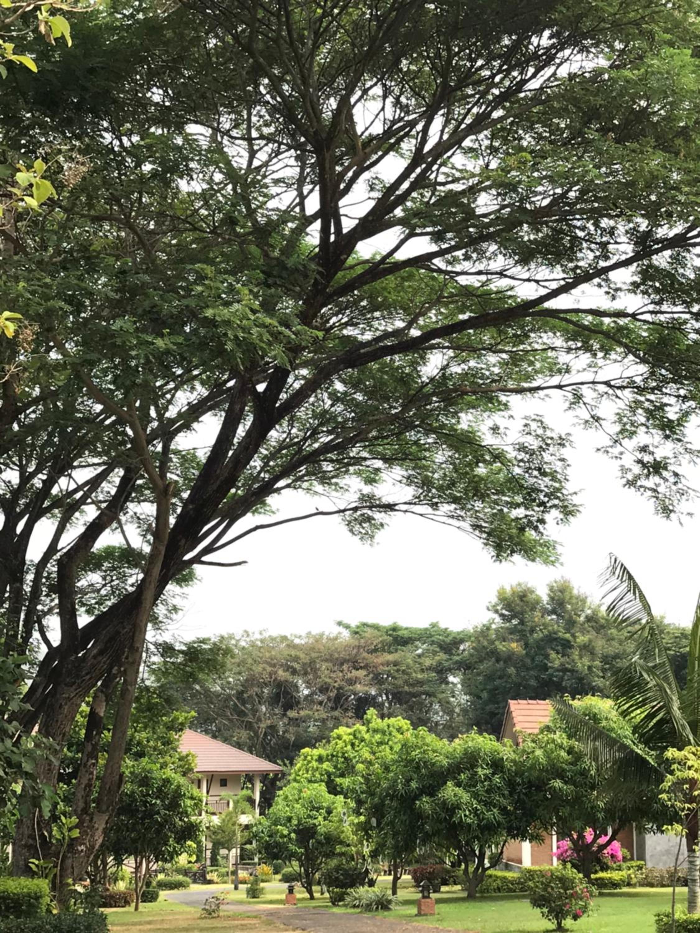 Papai Country Lodge SHA