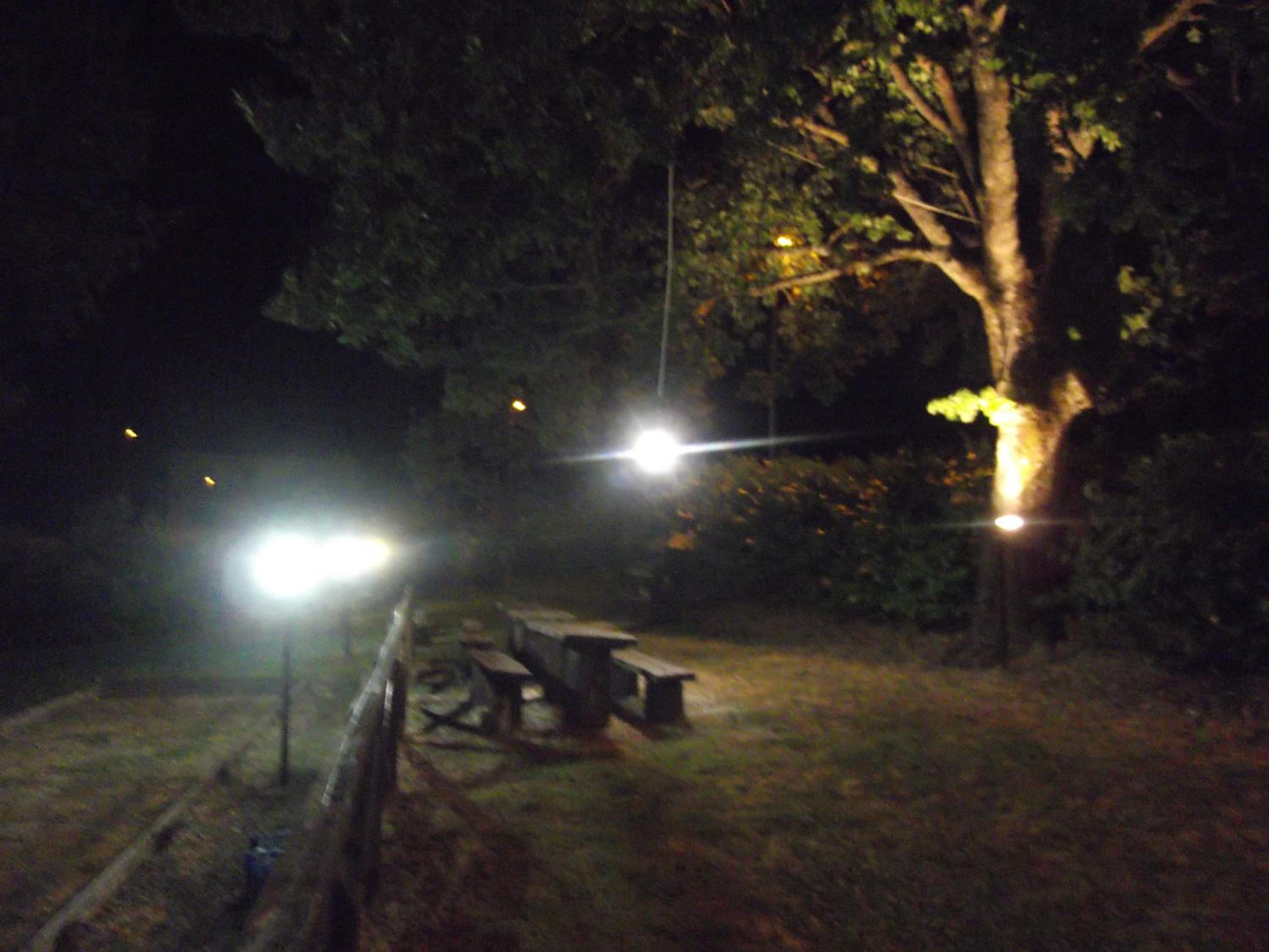 Photo 47