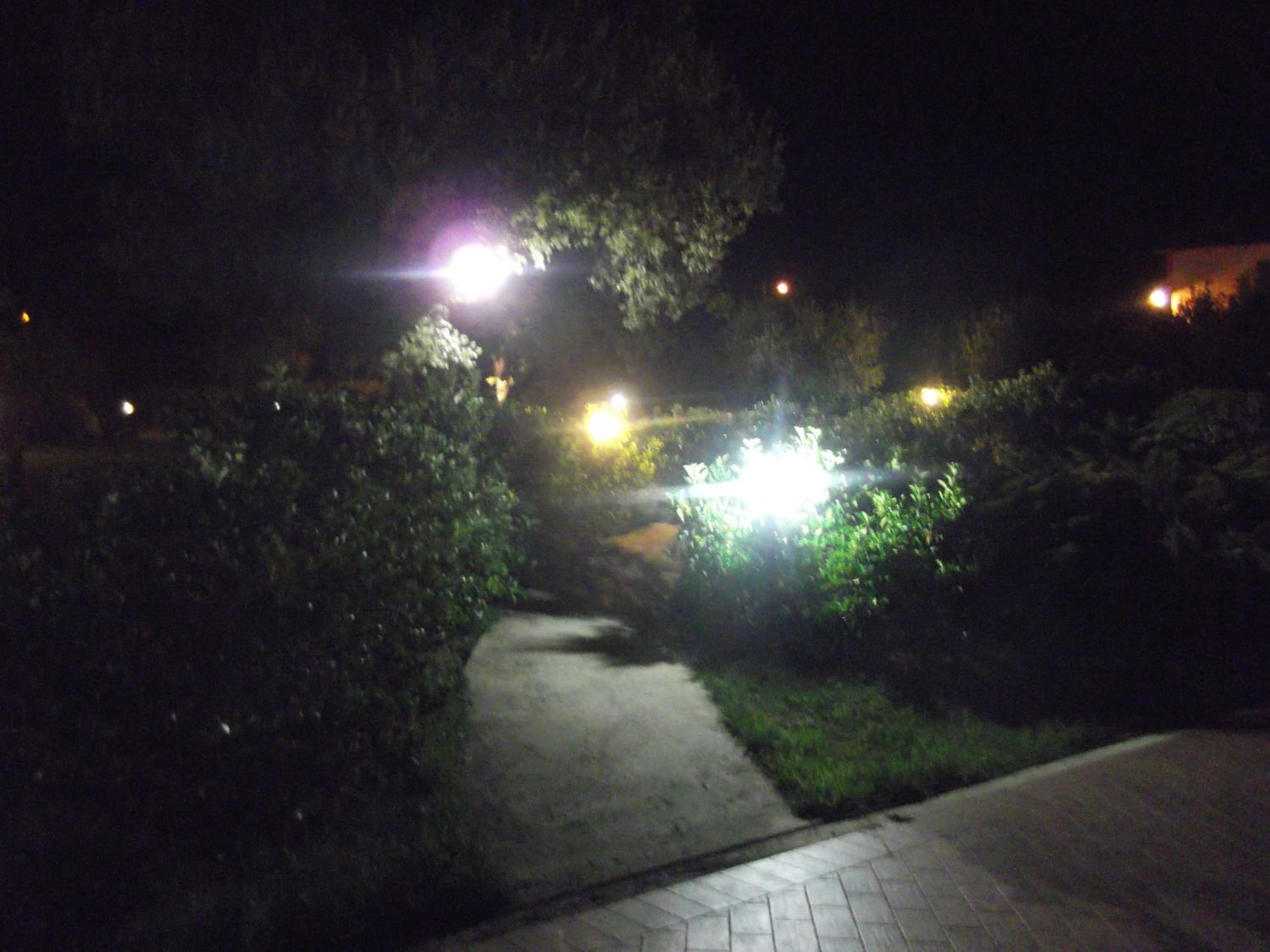 Photo 48