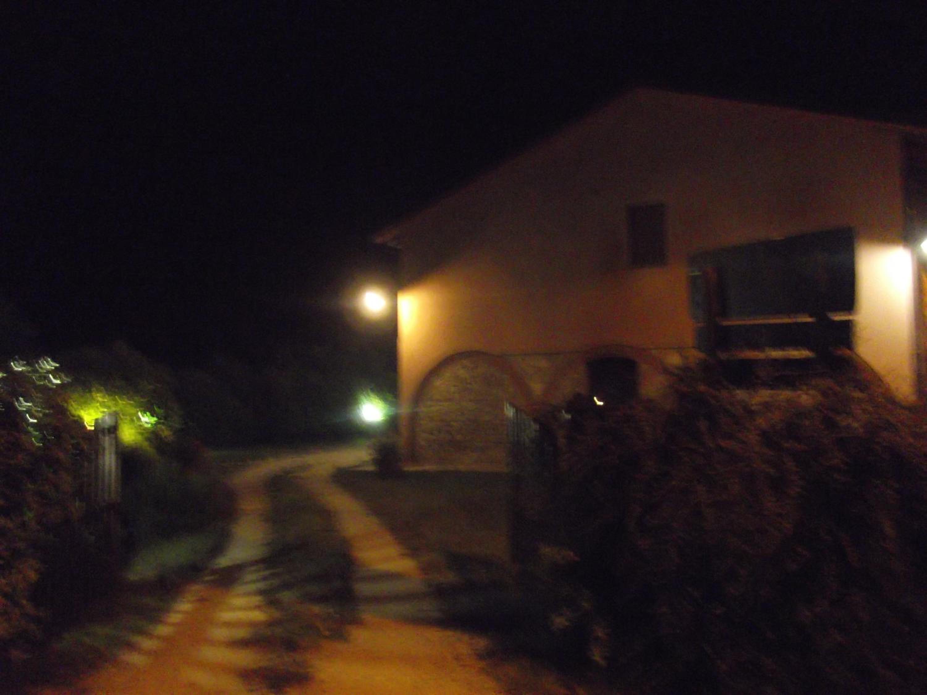 Photo 50