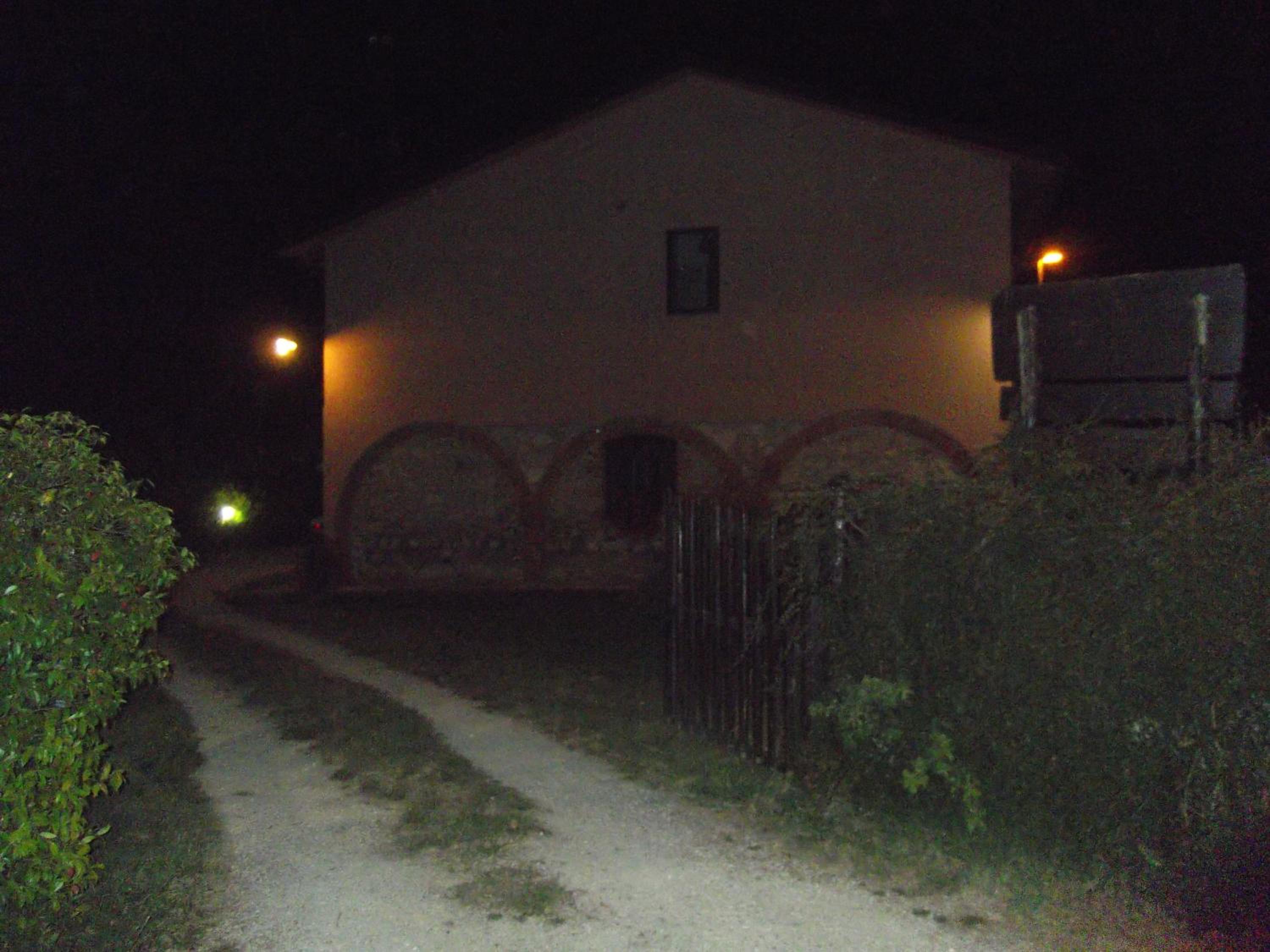Photo 95