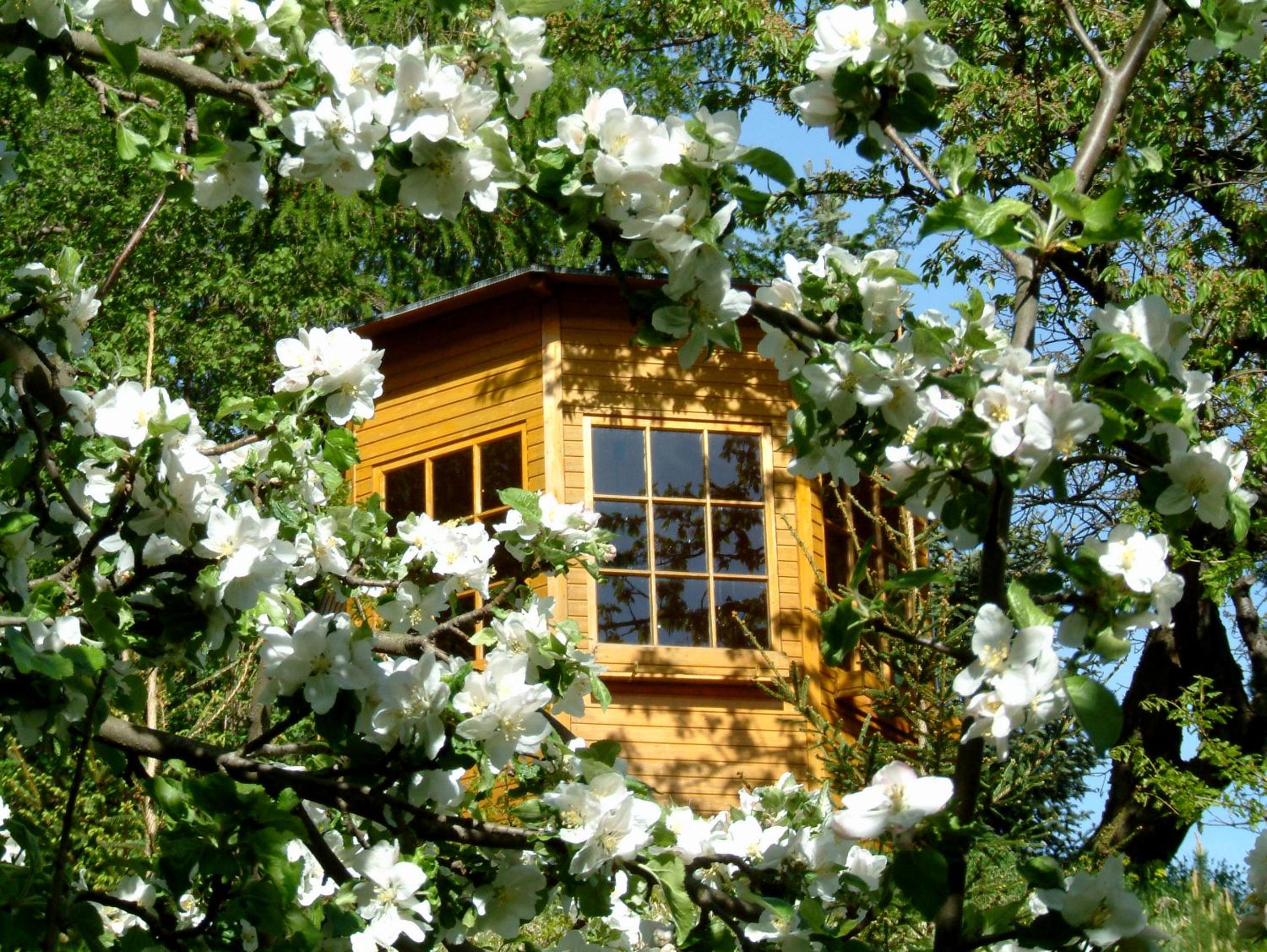 Harzer Feriengarten 4 Sterne