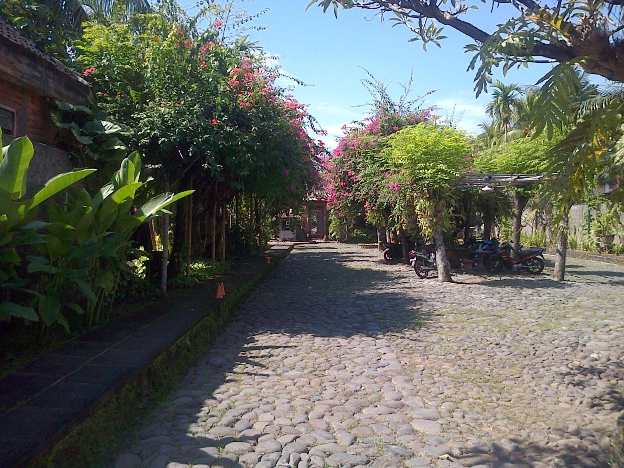 Photo 19