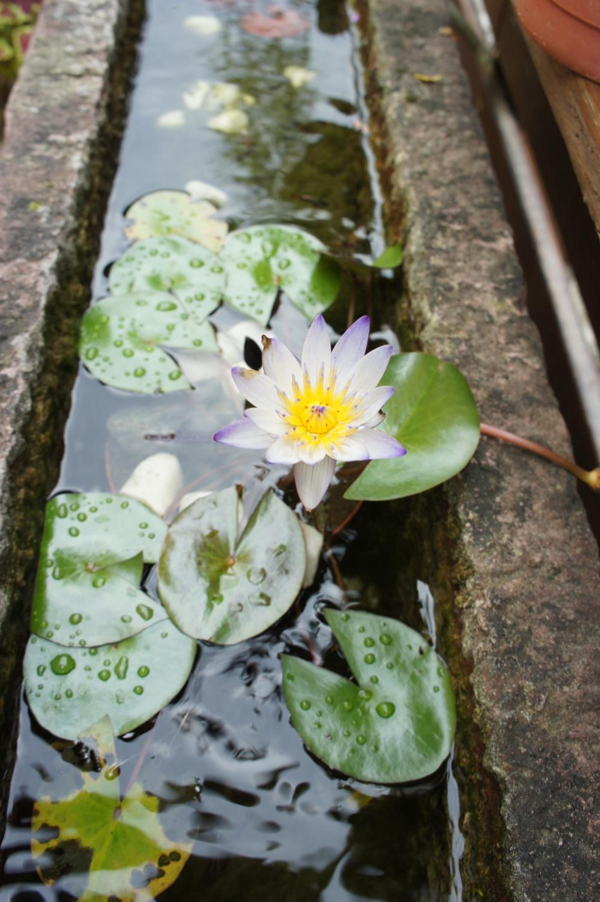 Cheng-Ping Hot Spring Inn