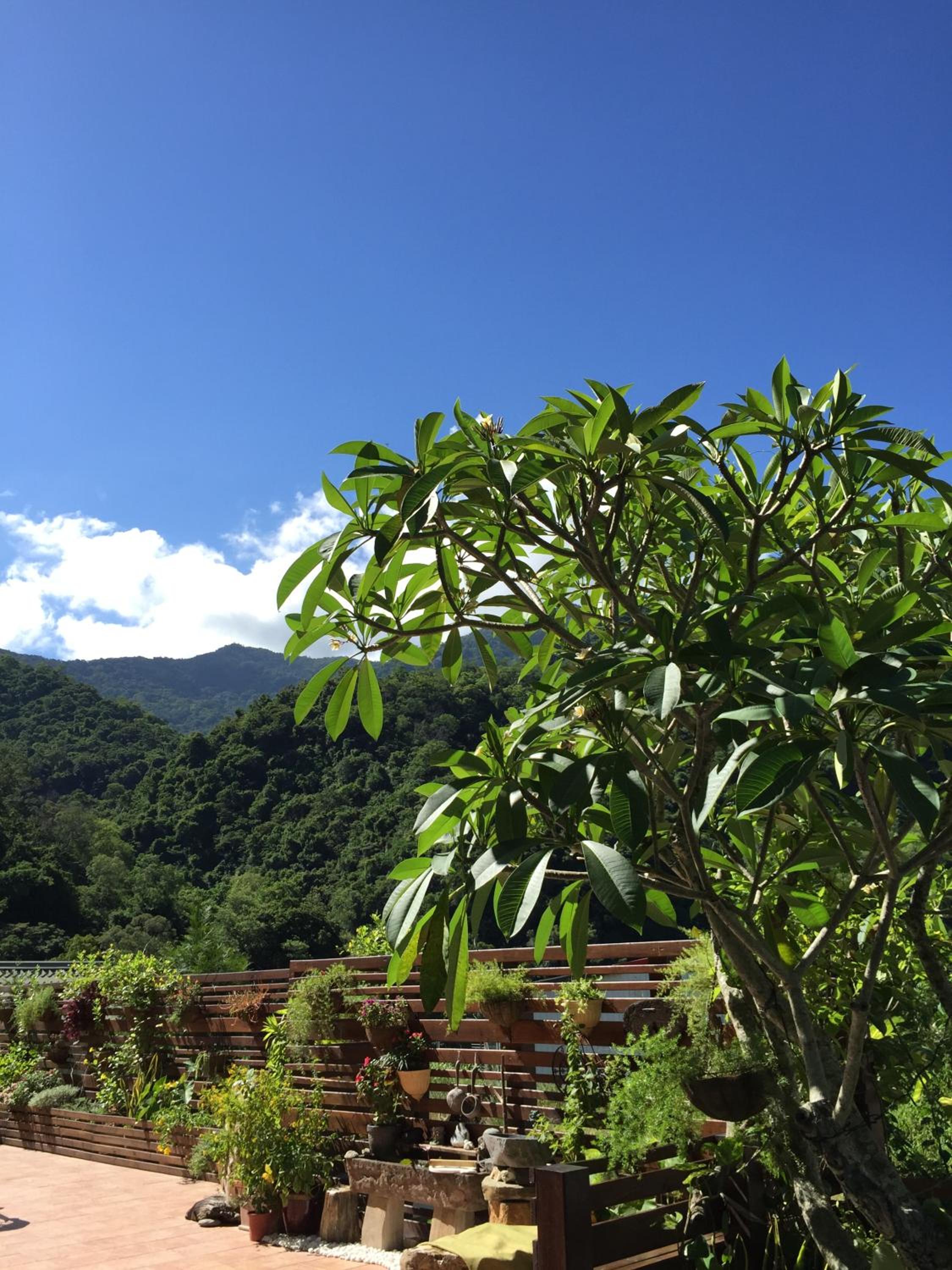 Cheng-Ping Hot Spring Inn