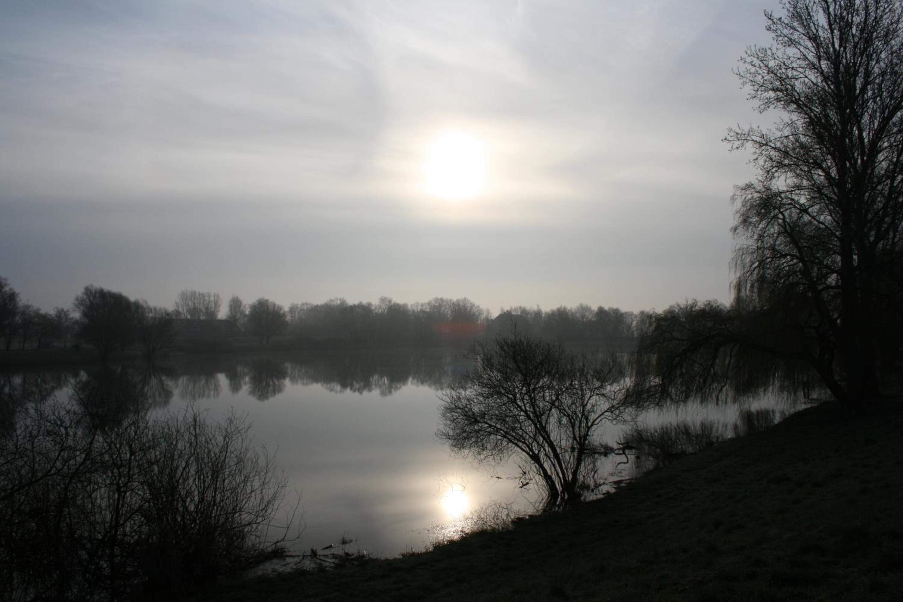 Photo 63