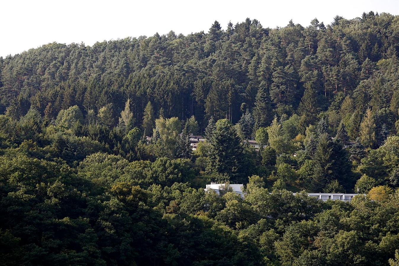 Landhaus Wald und See Nr. 35