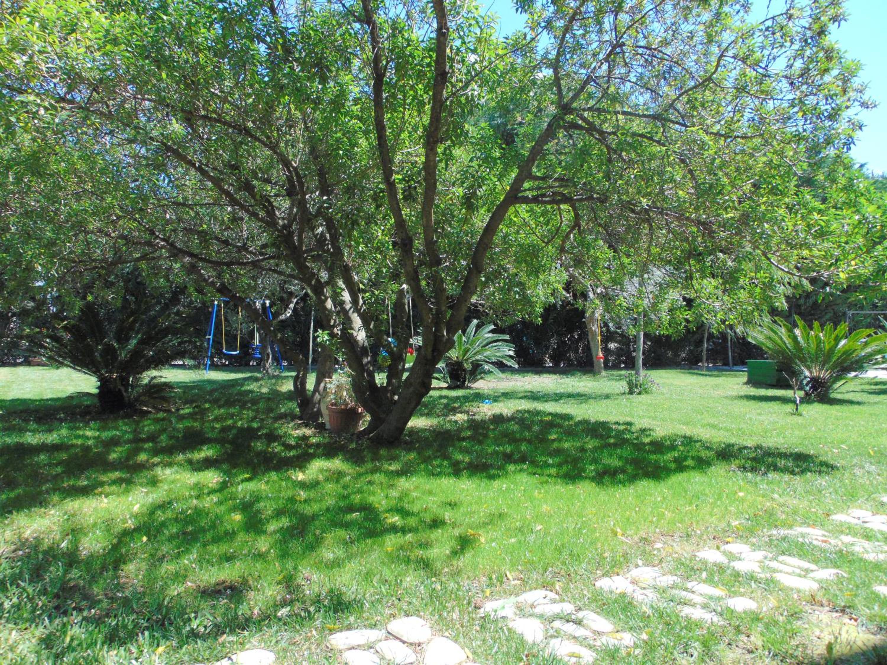 Photo 42