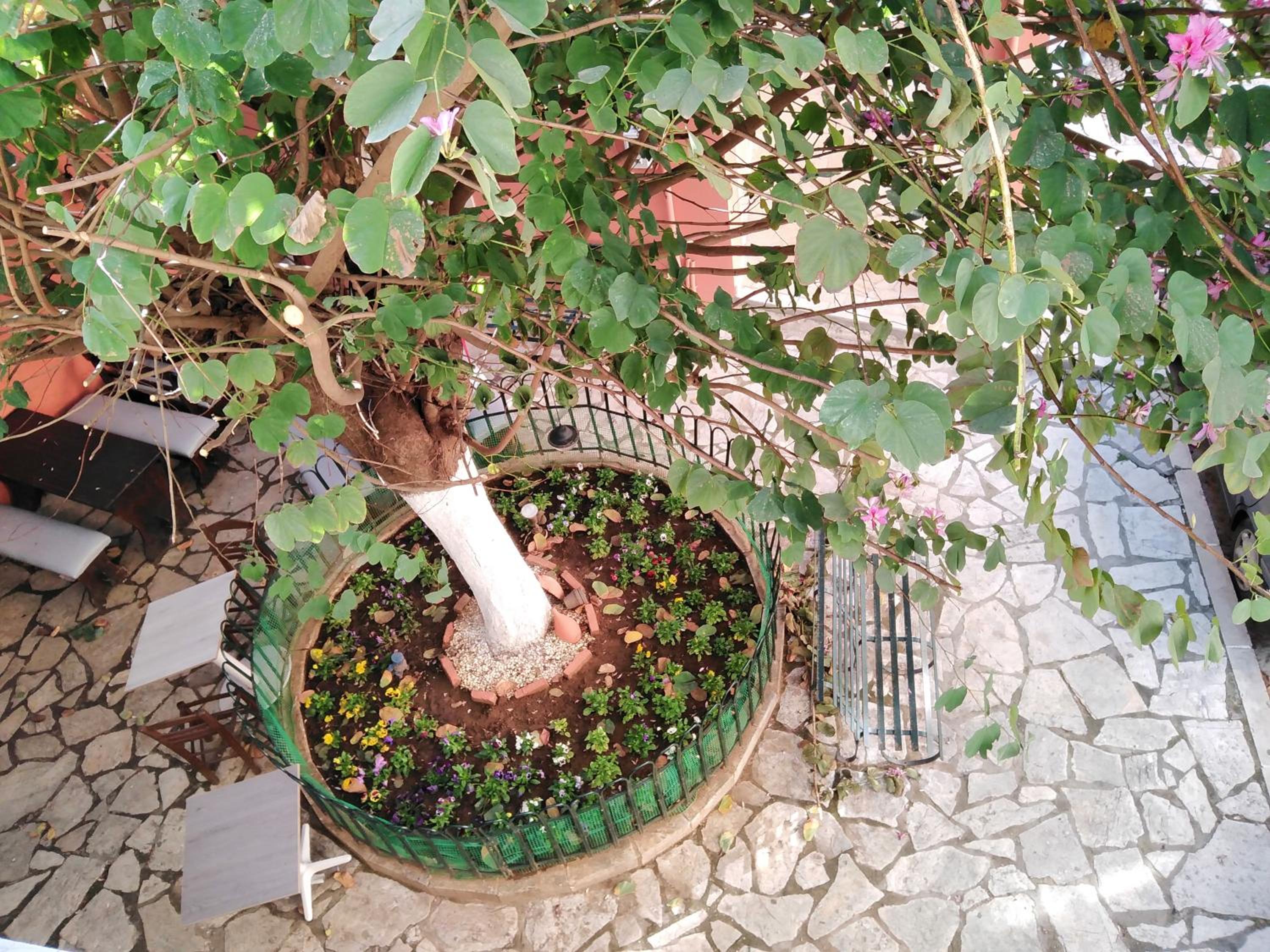 Photo 26