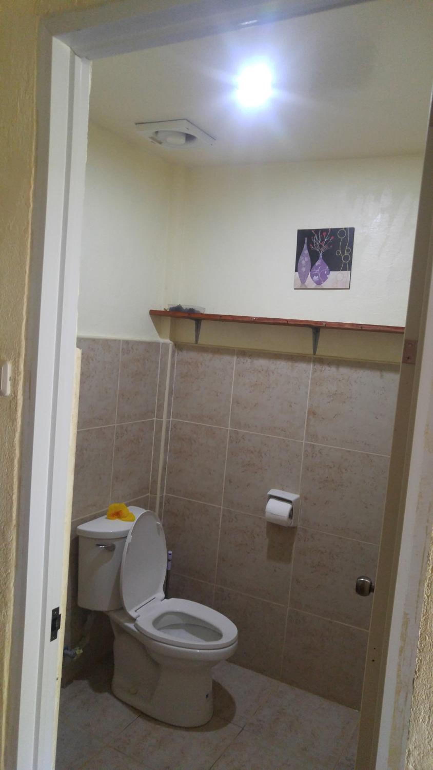 Photo 51