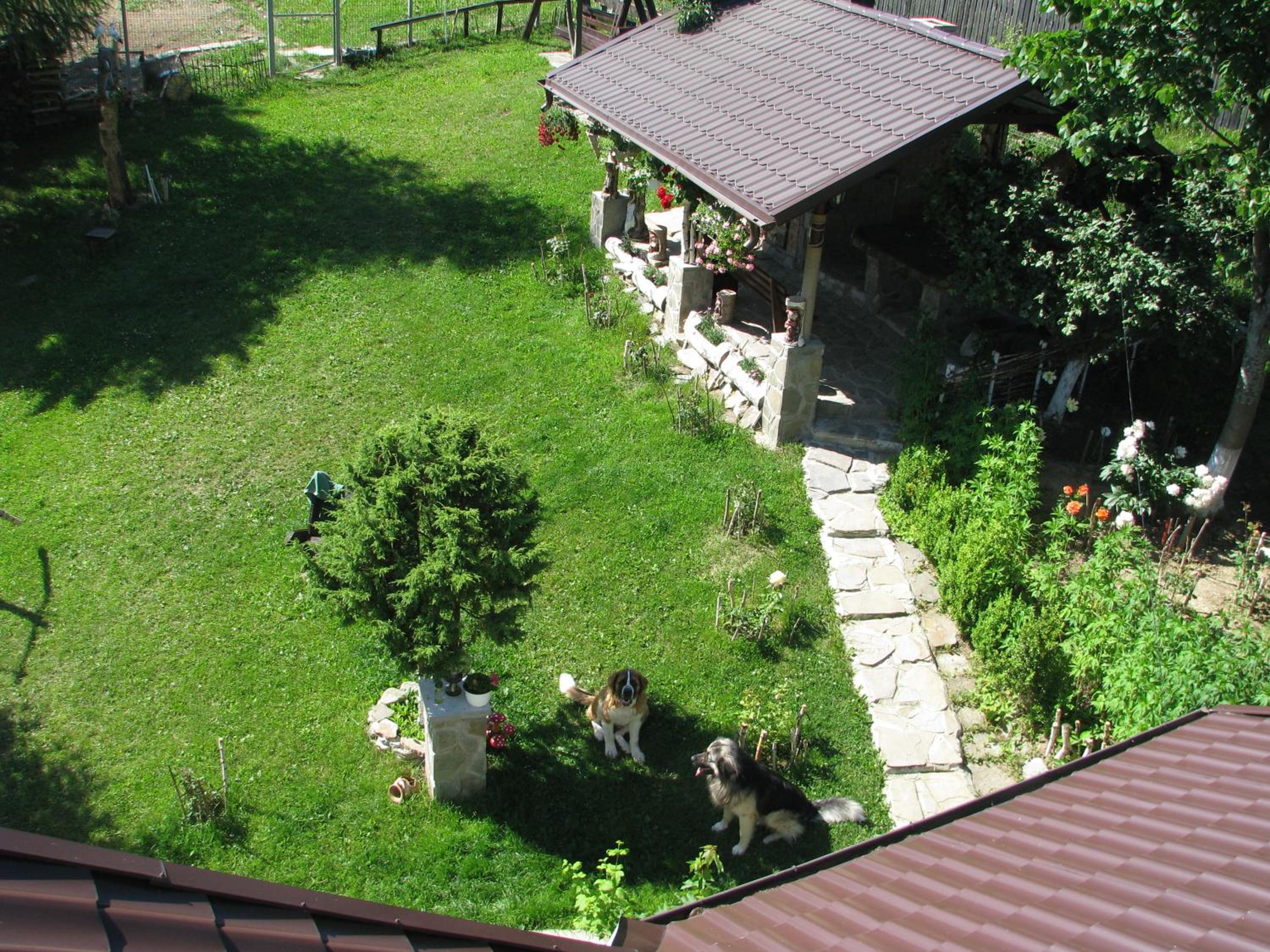 Photo 81