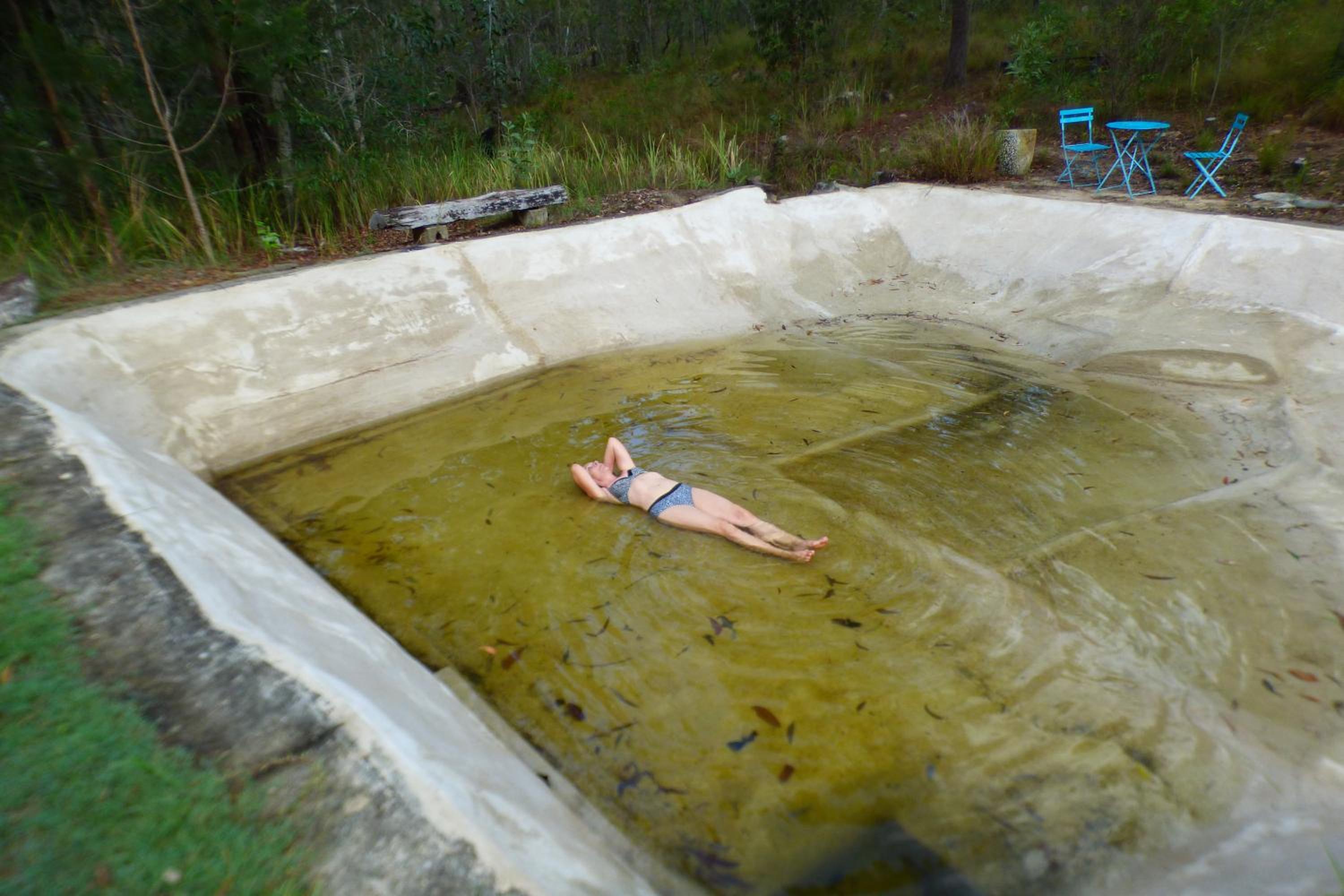 Yamba Hinterland bush retreat - Vintage bus stay