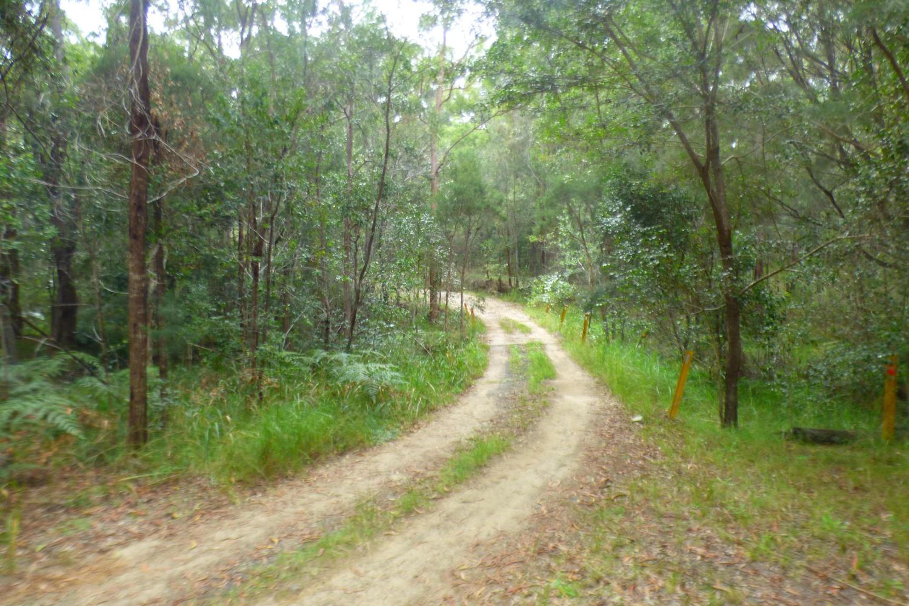 Yamba Hinterland bush retreat - Vintage bus stay