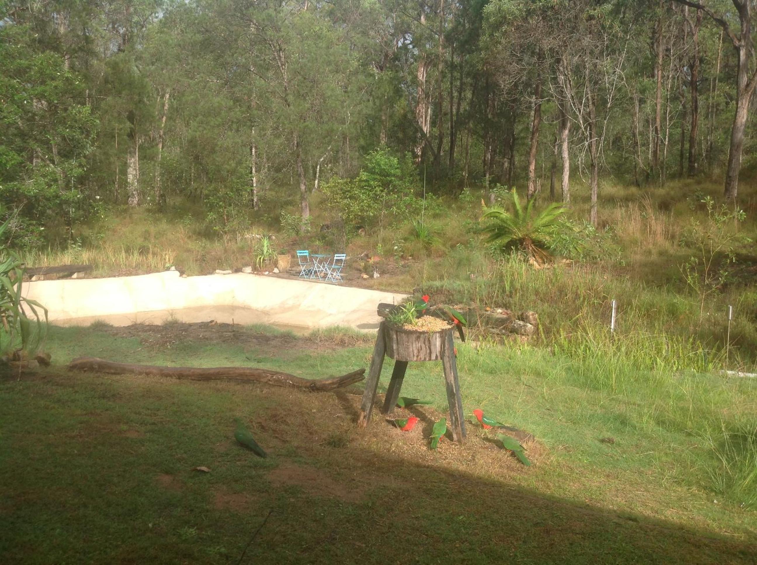 Yamba Hinterland bush retreat - Vintage bus stay