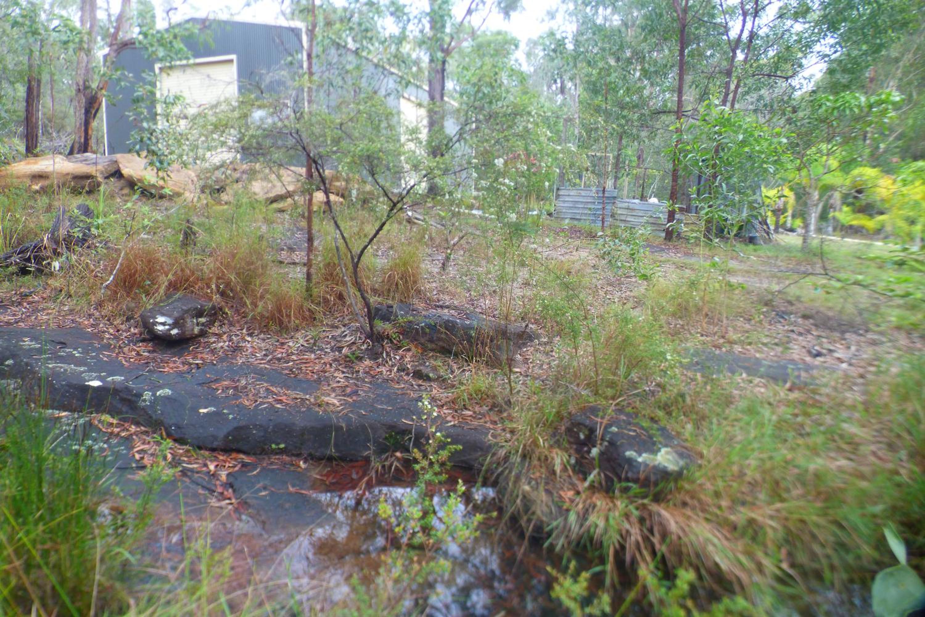 Yamba Hinterland bush retreat - Vintage bus stay