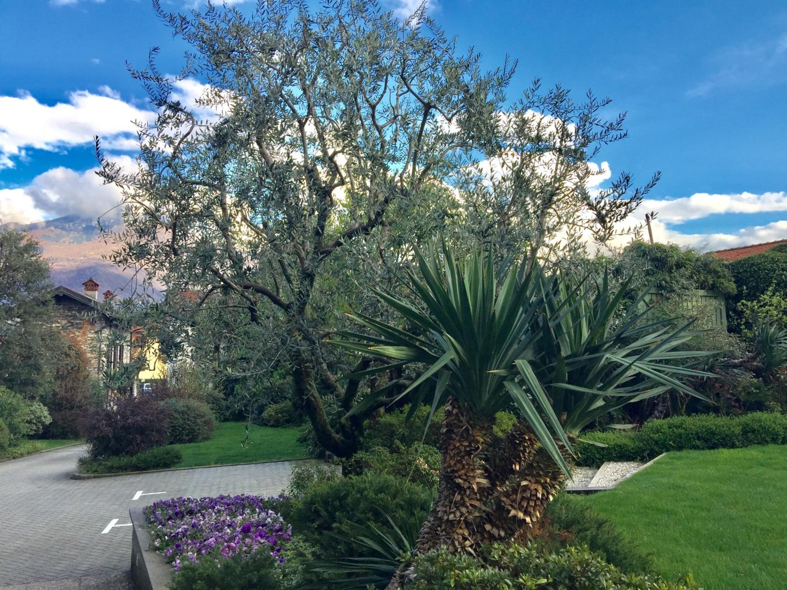 Vittoria Residence view 5