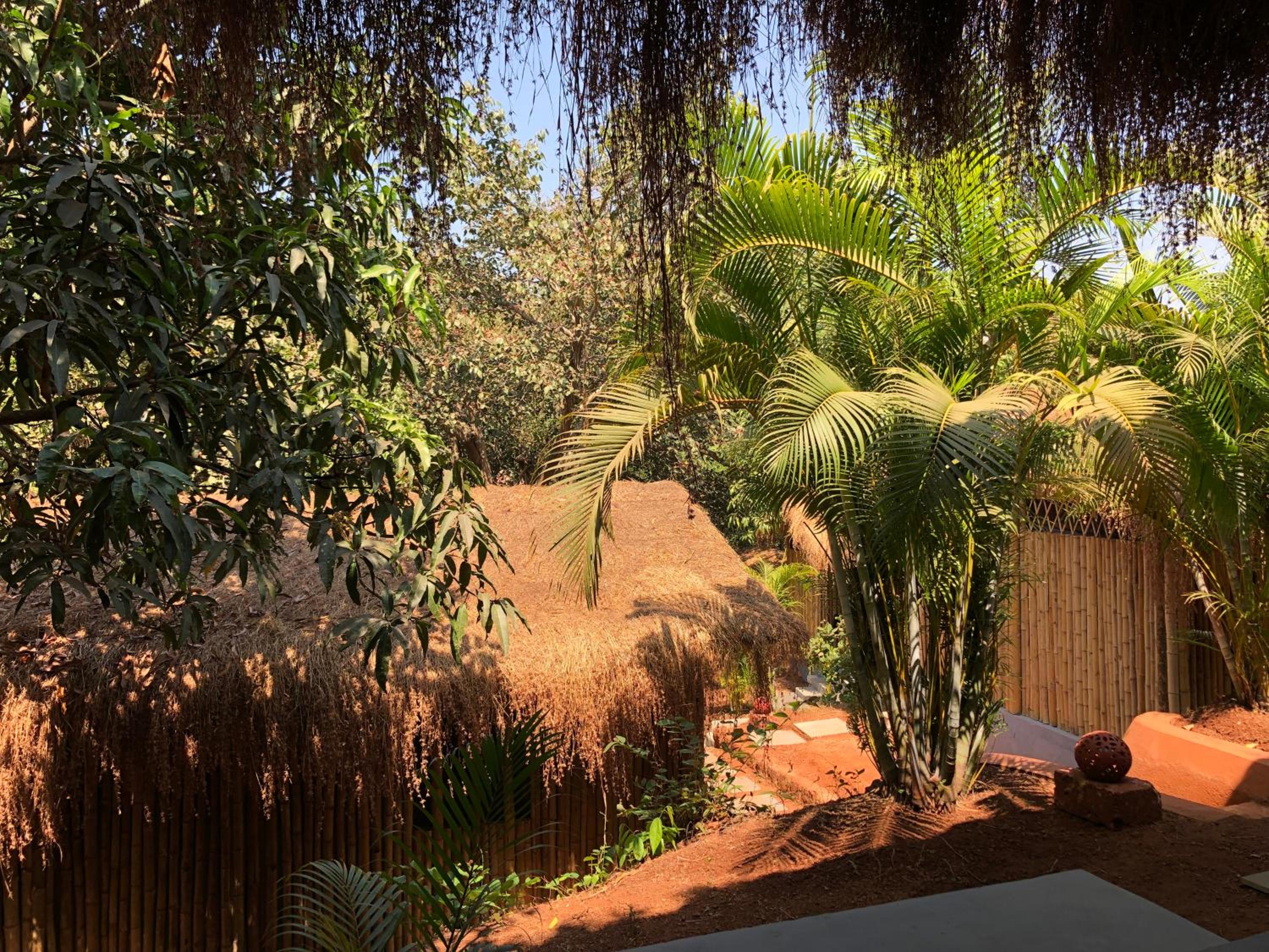 Photo 25