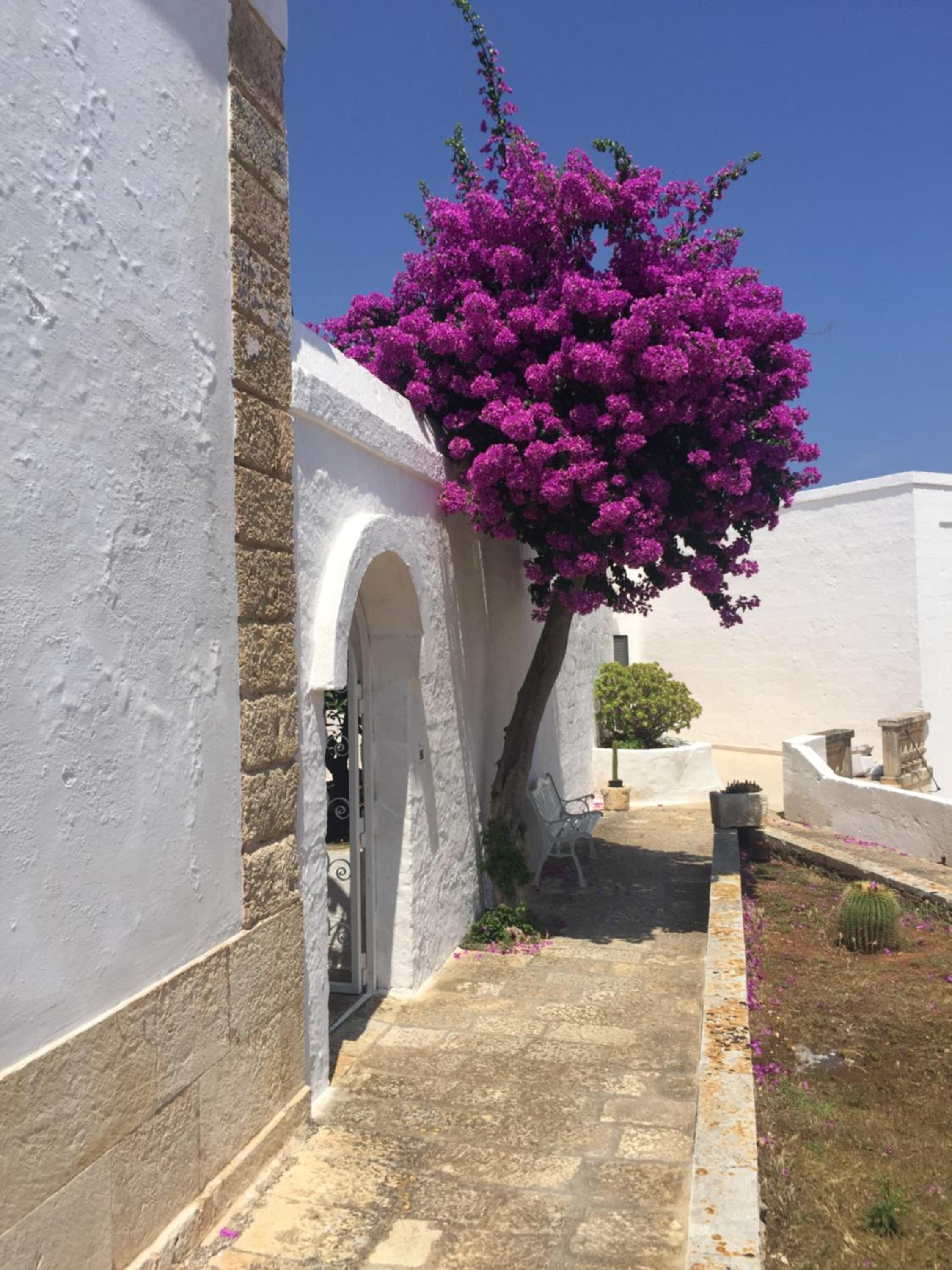 Masseria Rienzo
