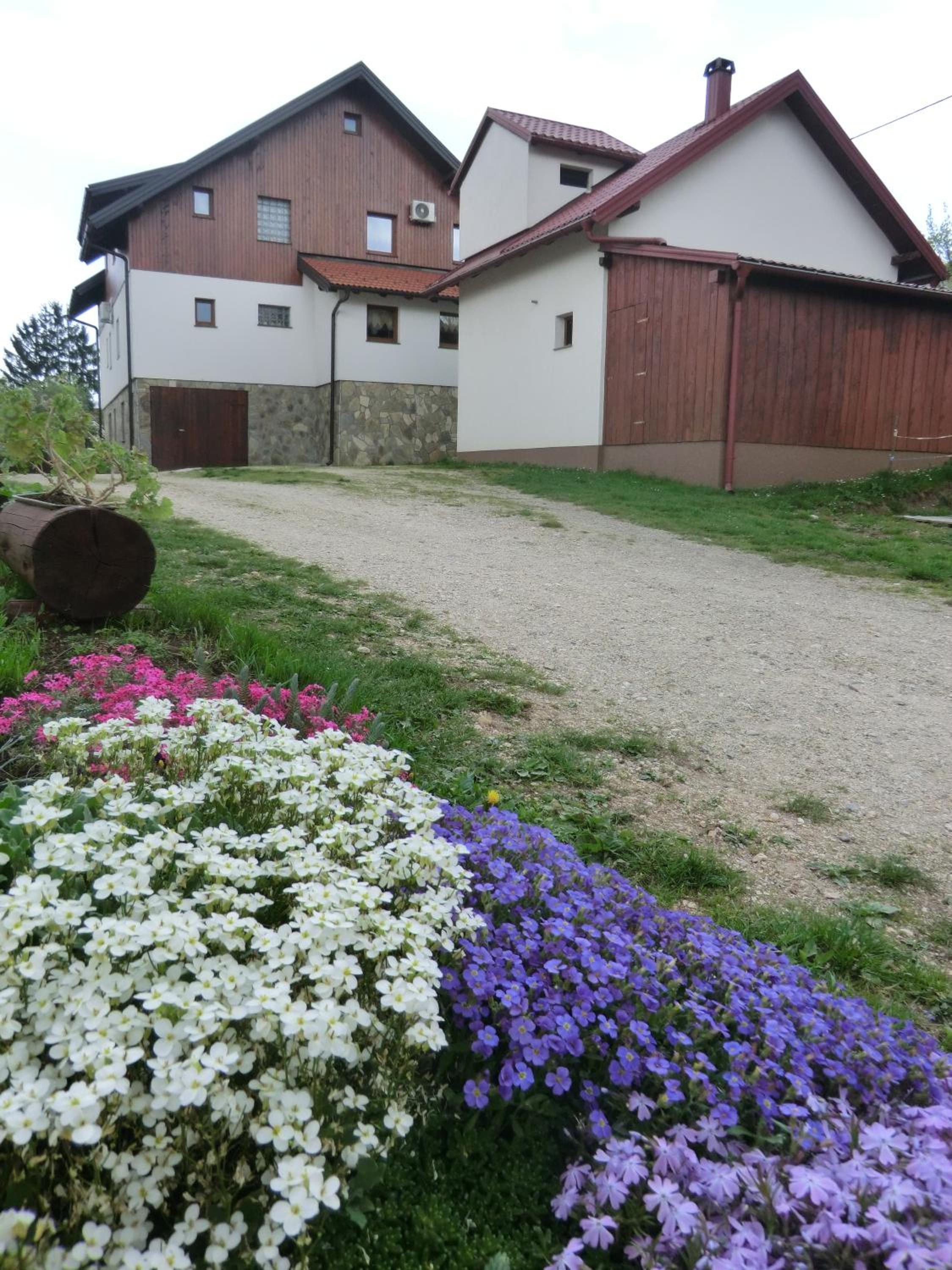 Photo 41