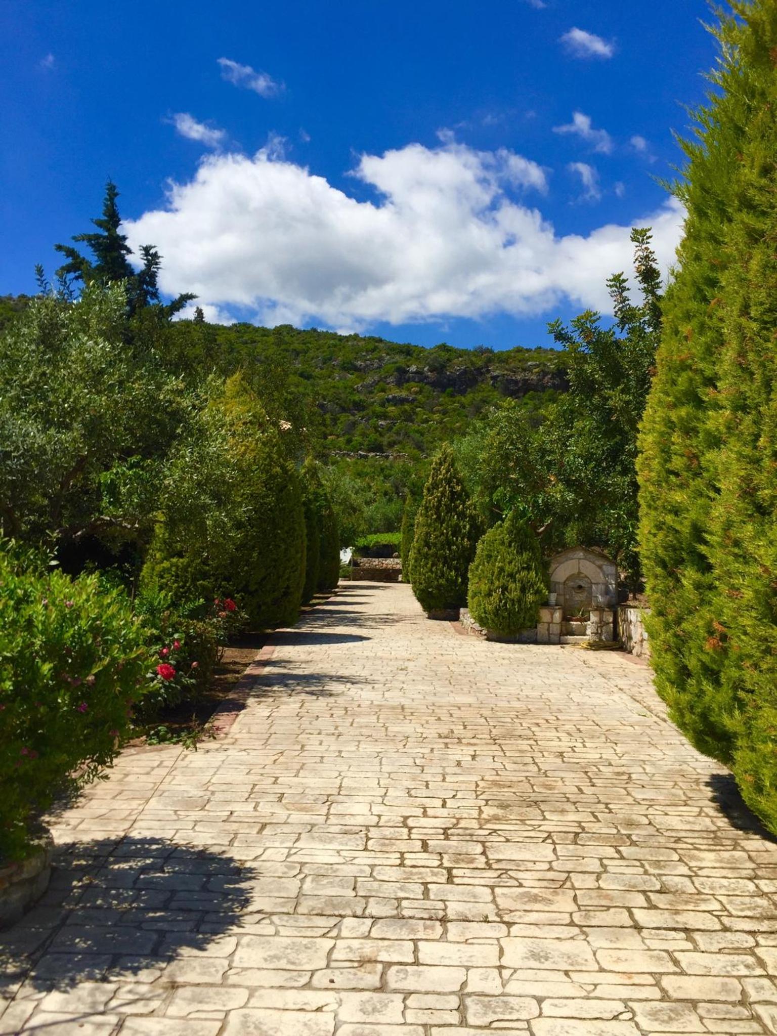 Mouses Apartments-Kardamyli view 4