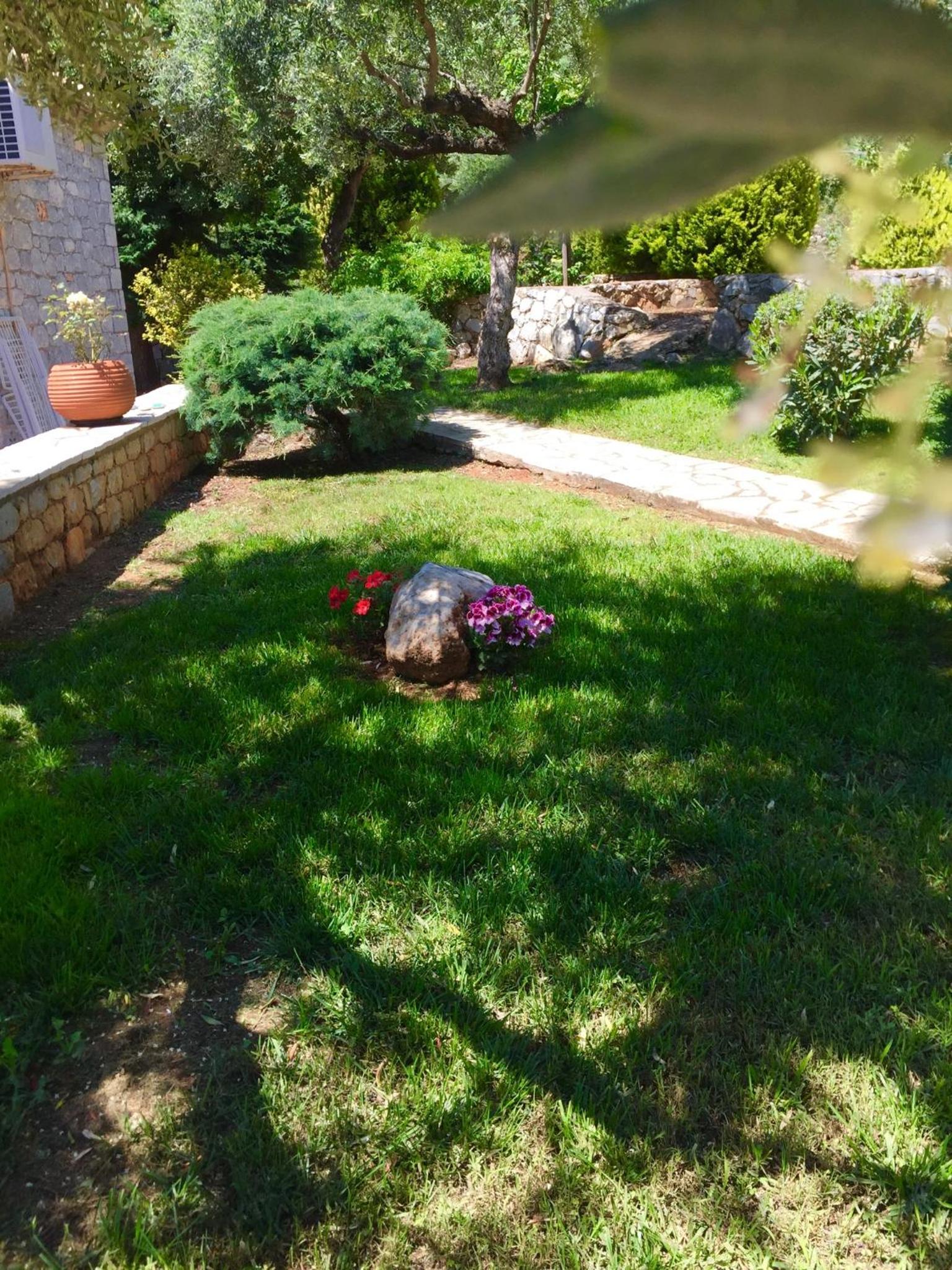 Photo 29