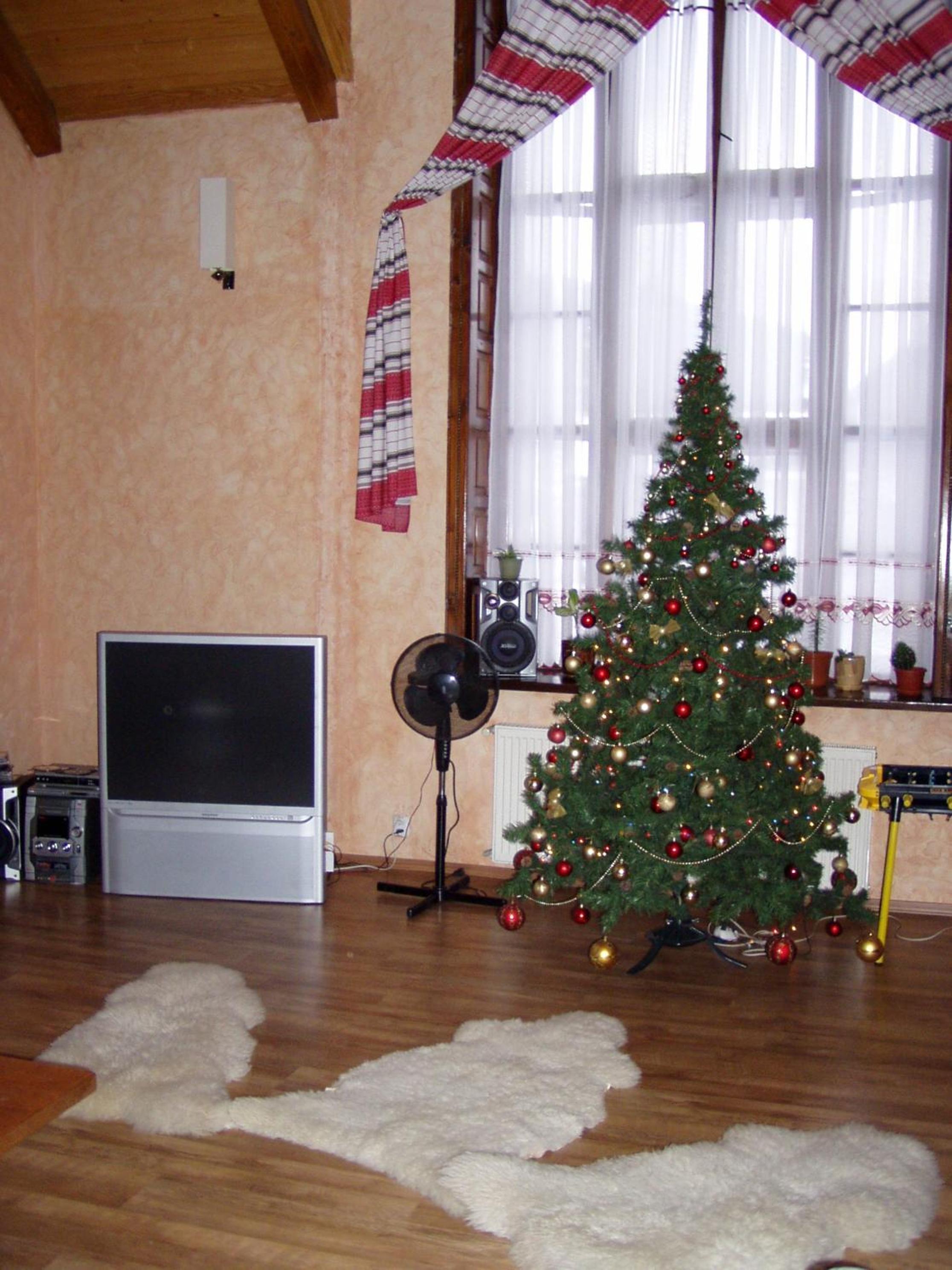 Photo 55