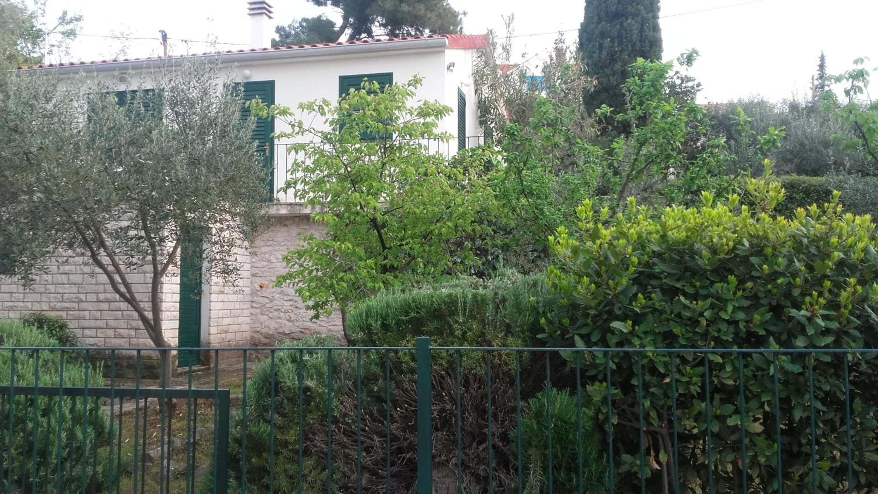 Photo 11