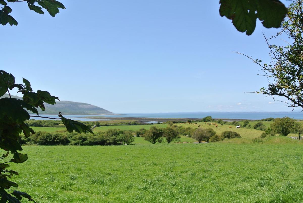 Drumcreehy Country House BB - Property Image 78