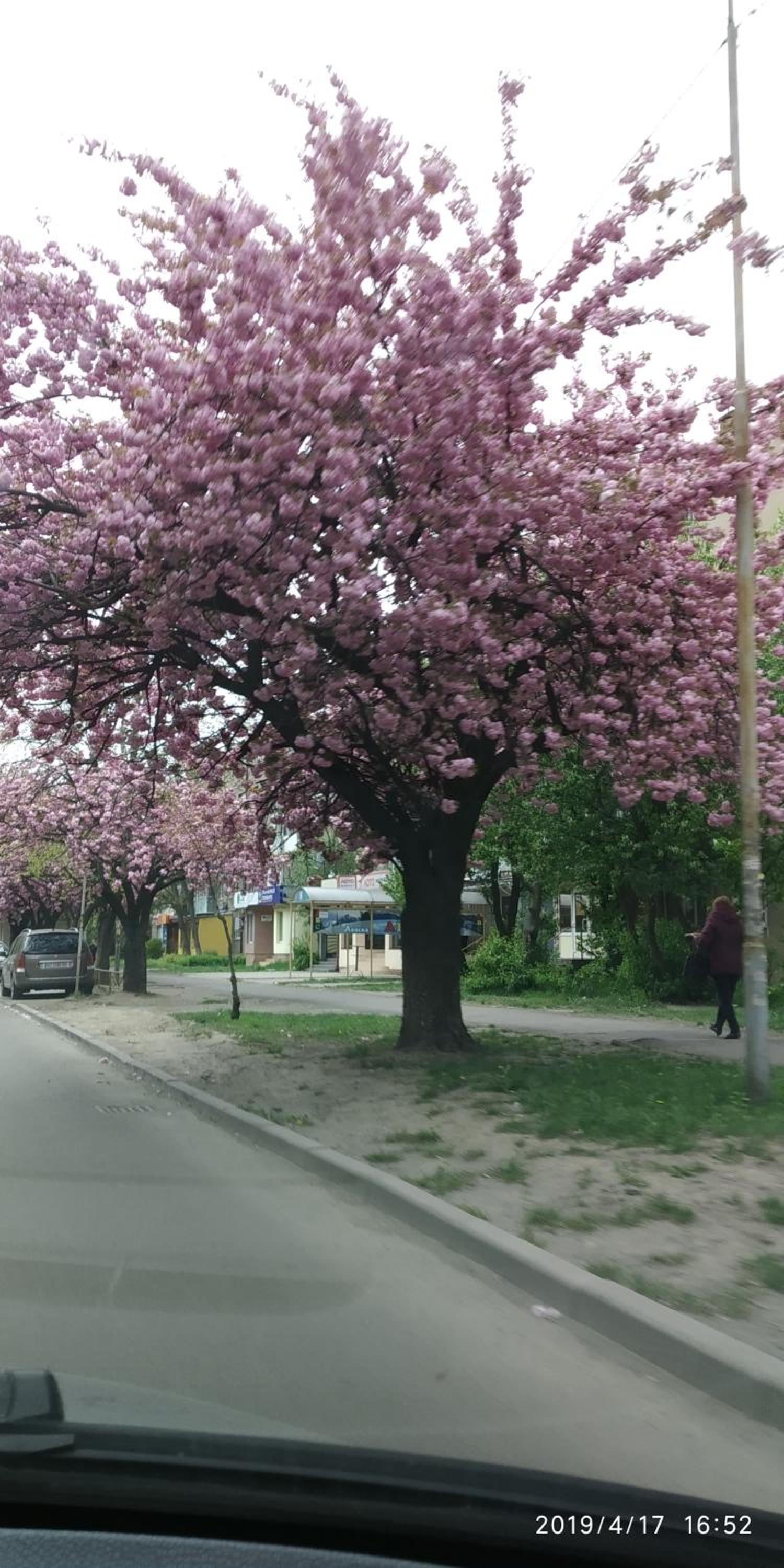 Photo 30