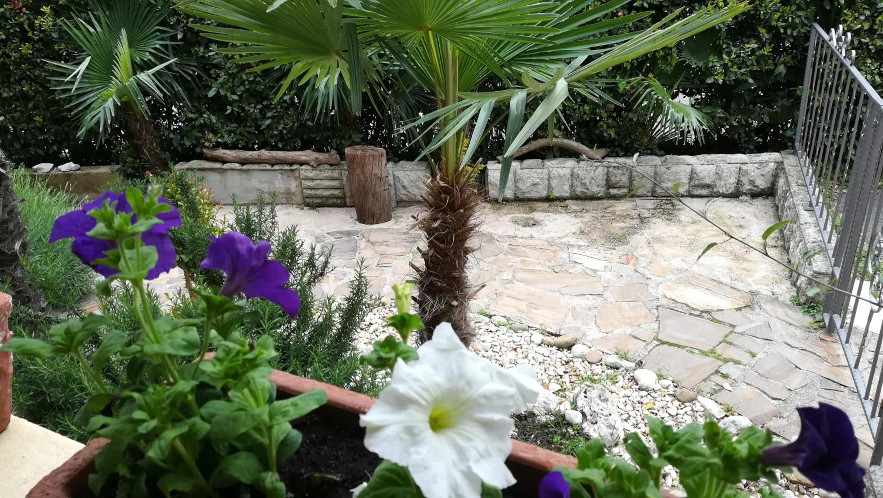 Photo 46