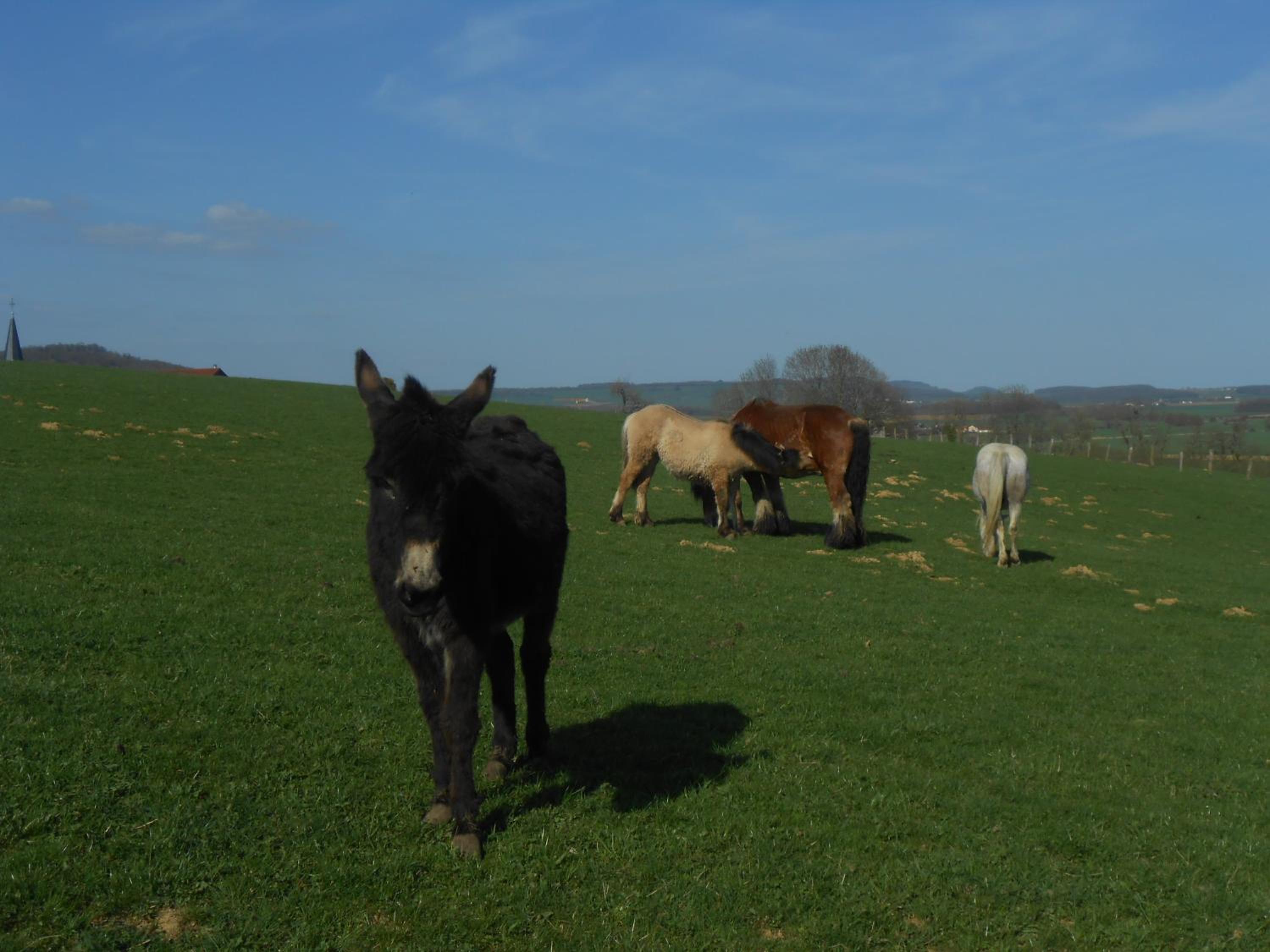 La Ferme des 3 Suissesses