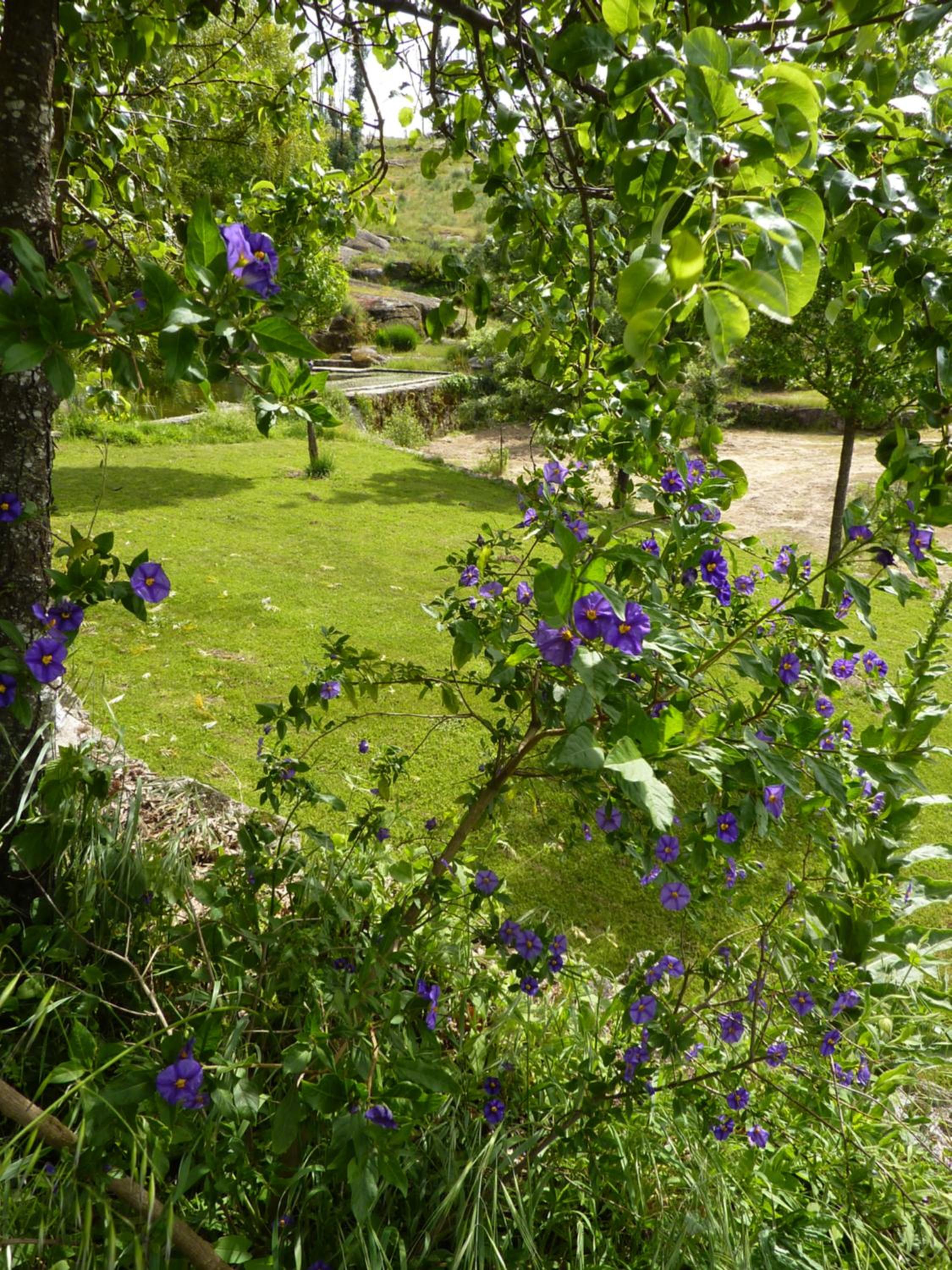 Quinta Lagarça 57 view 4
