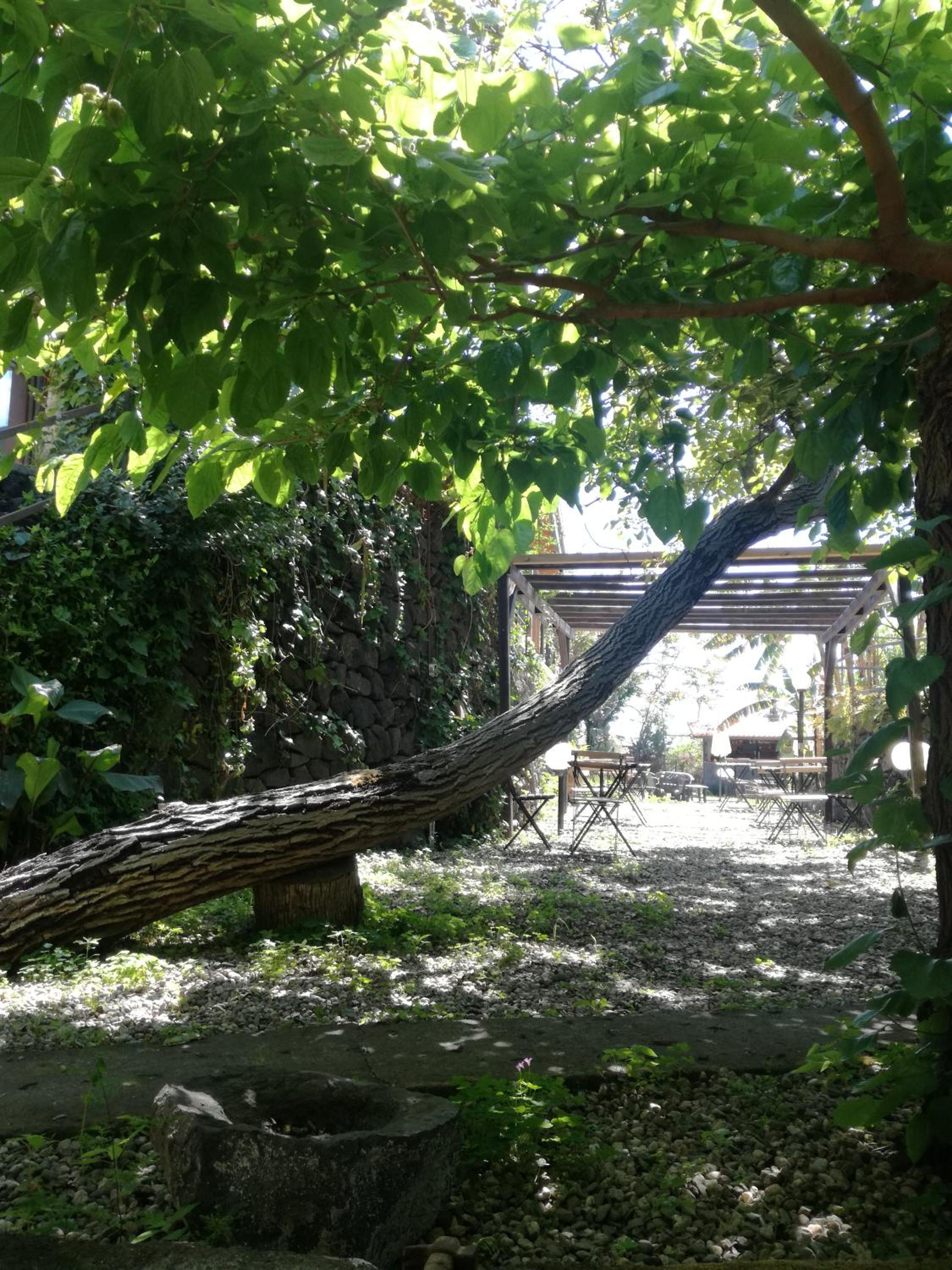 B&B Villa Lidia